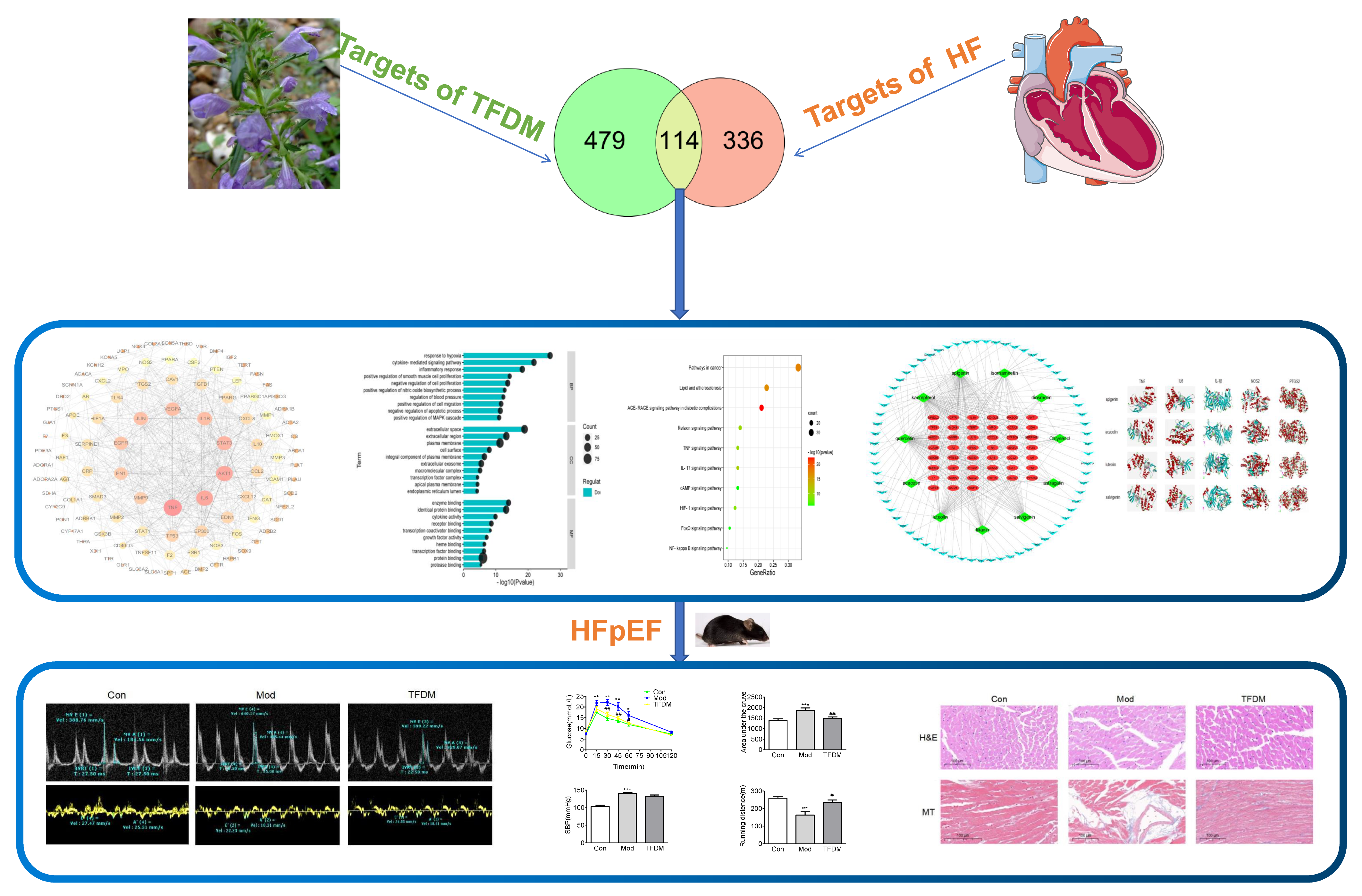 Ijms 23 08409 g001 550