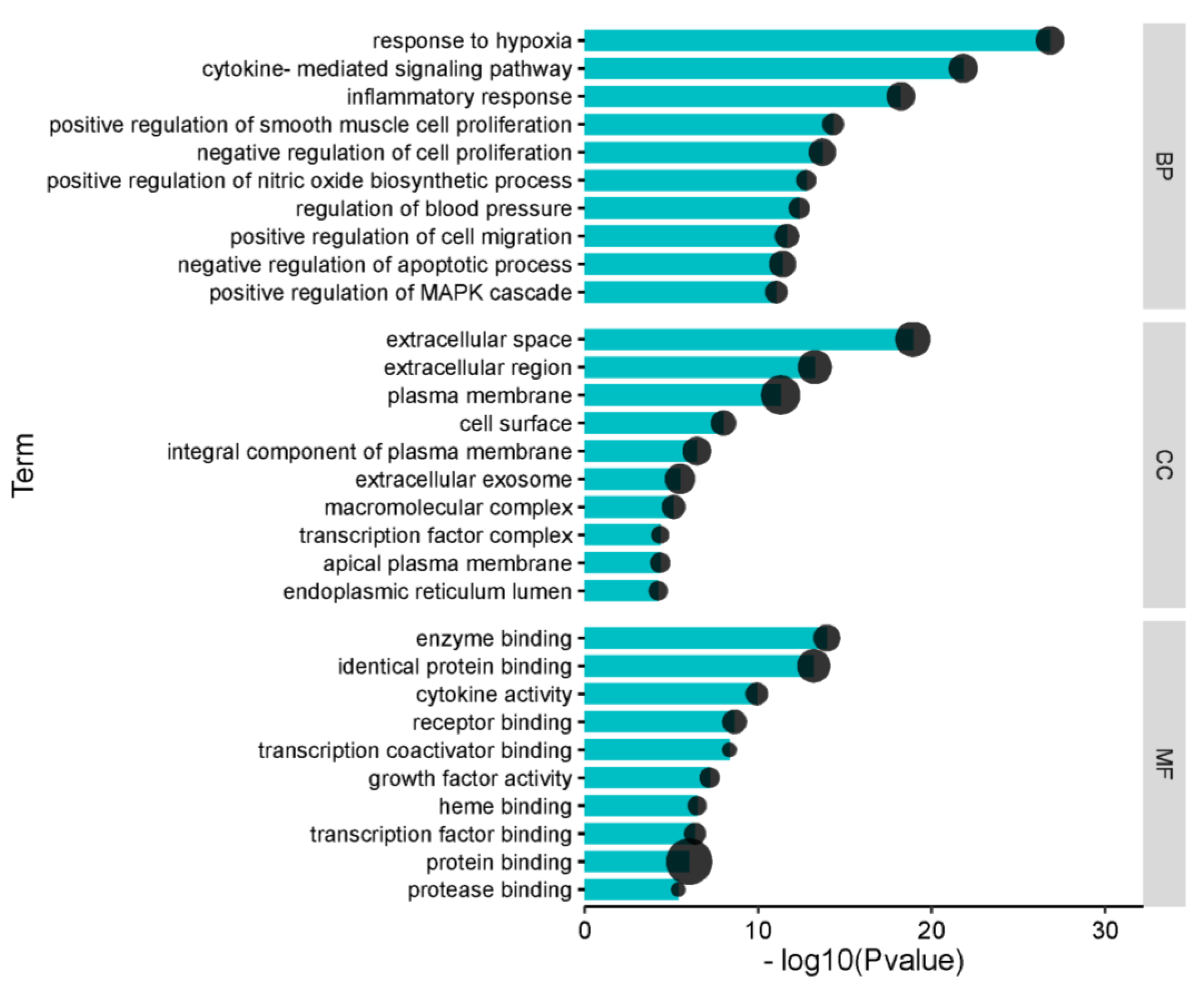 Ijms 23 08409 g004 550