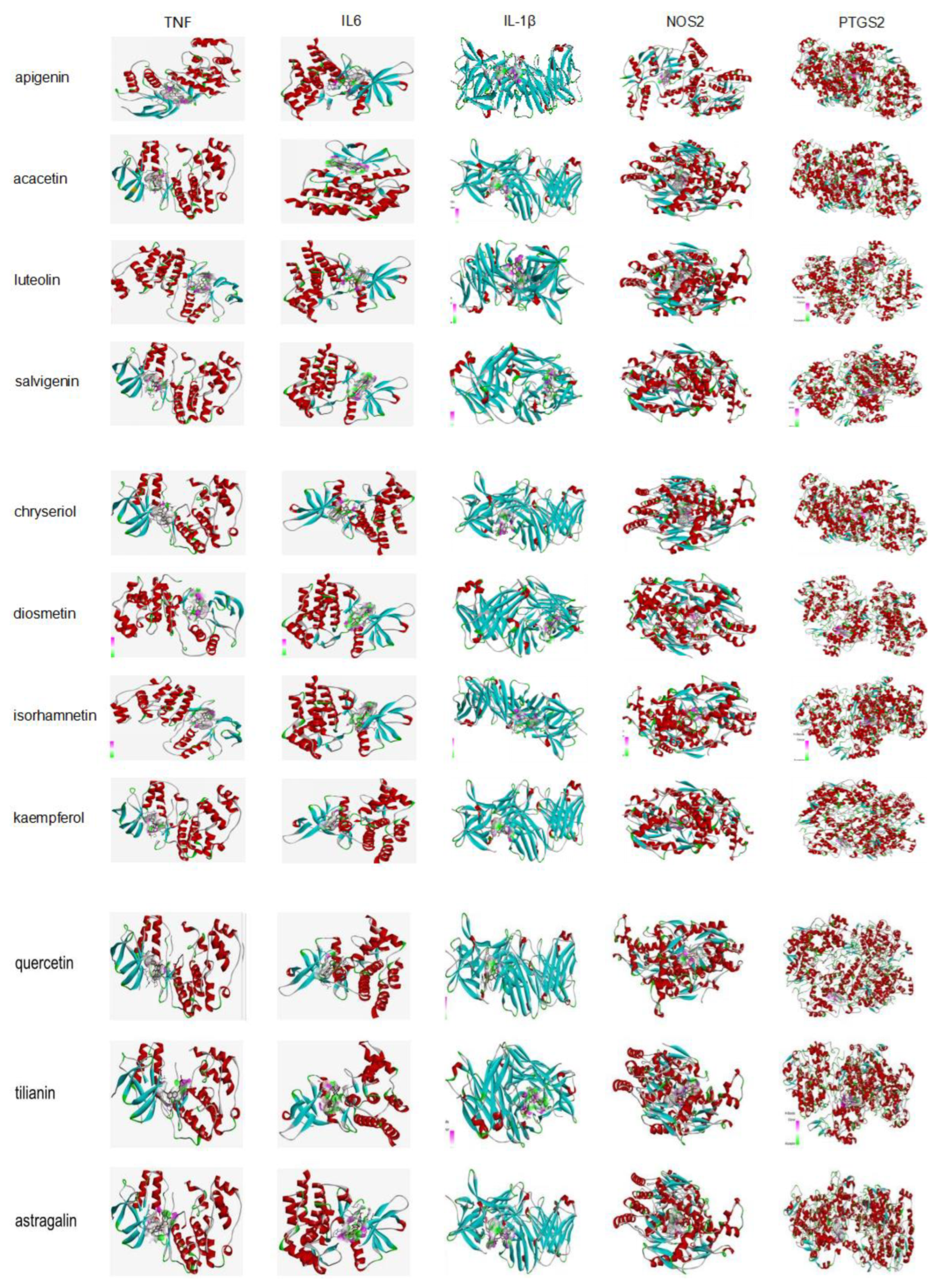 Ijms 23 08409 g006 550