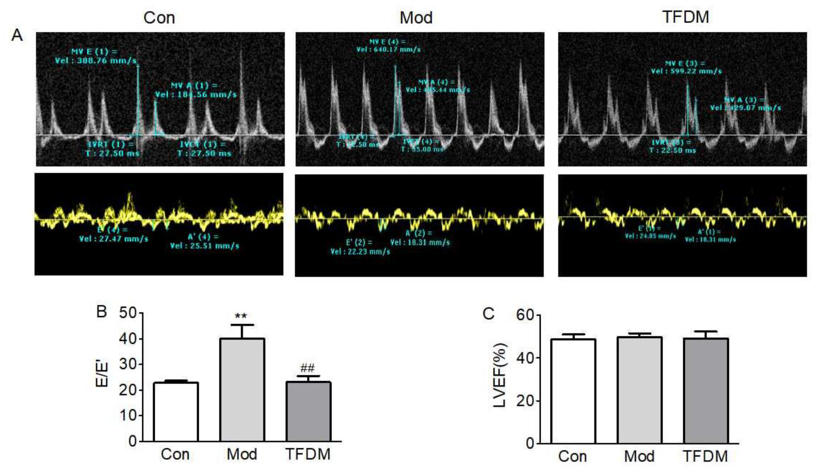 Ijms 23 08409 g008 550