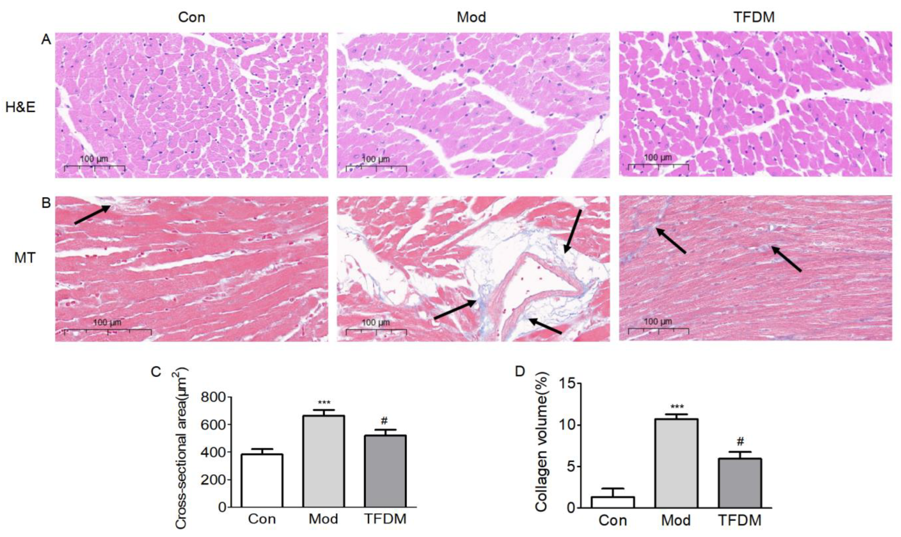 Ijms 23 08409 g009 550