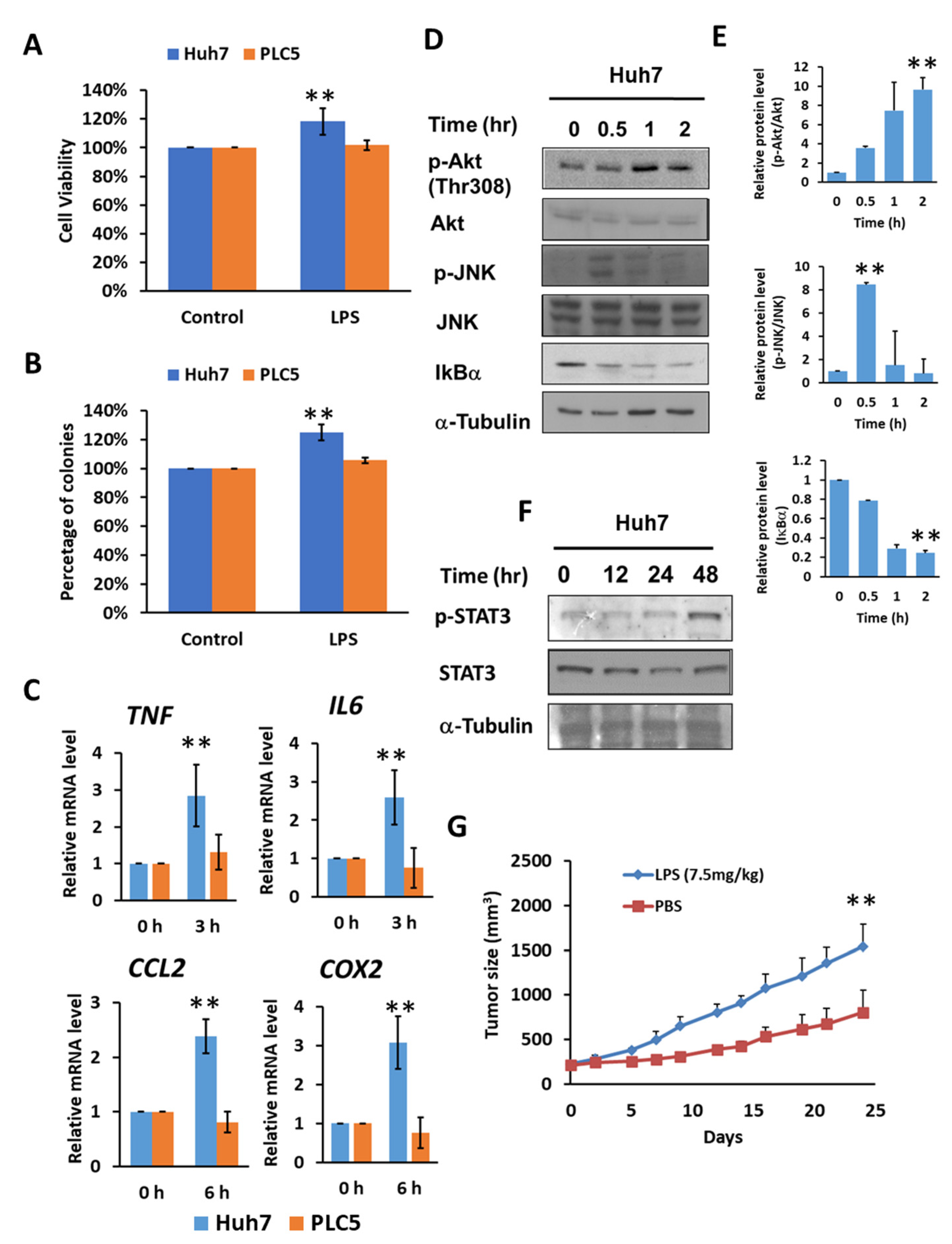 Ijms 23 08419 g002 550