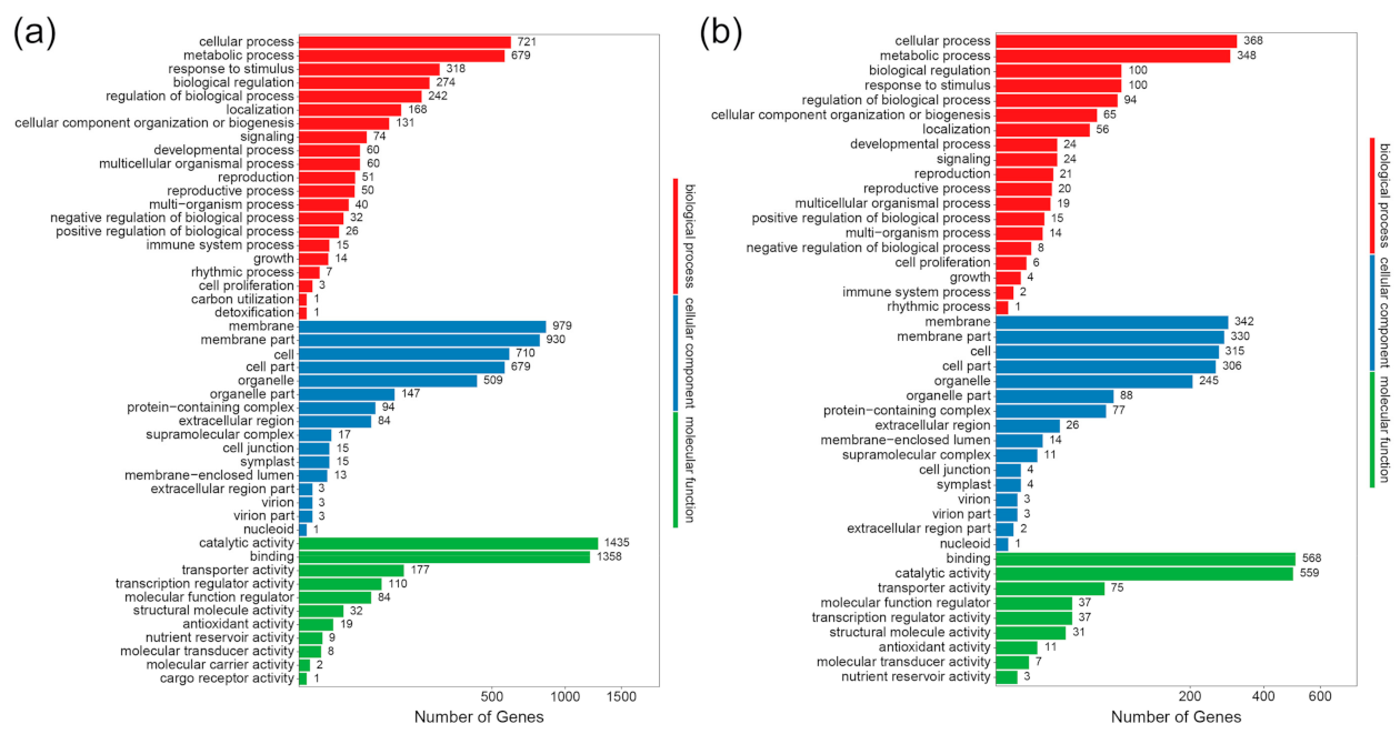 Ijms 23 08420 g003 550