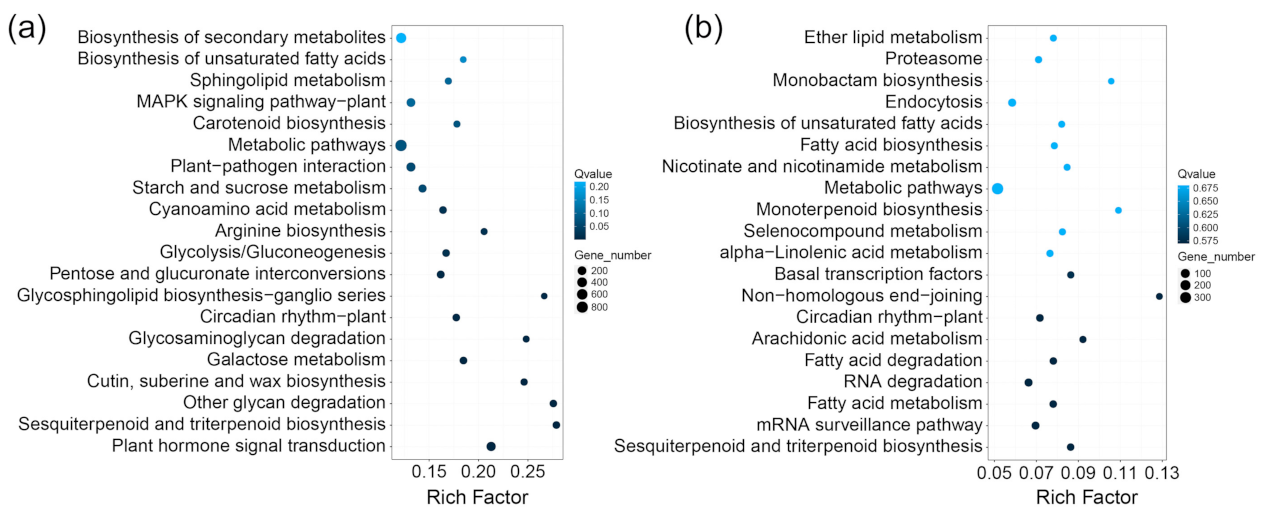 Ijms 23 08420 g004 550