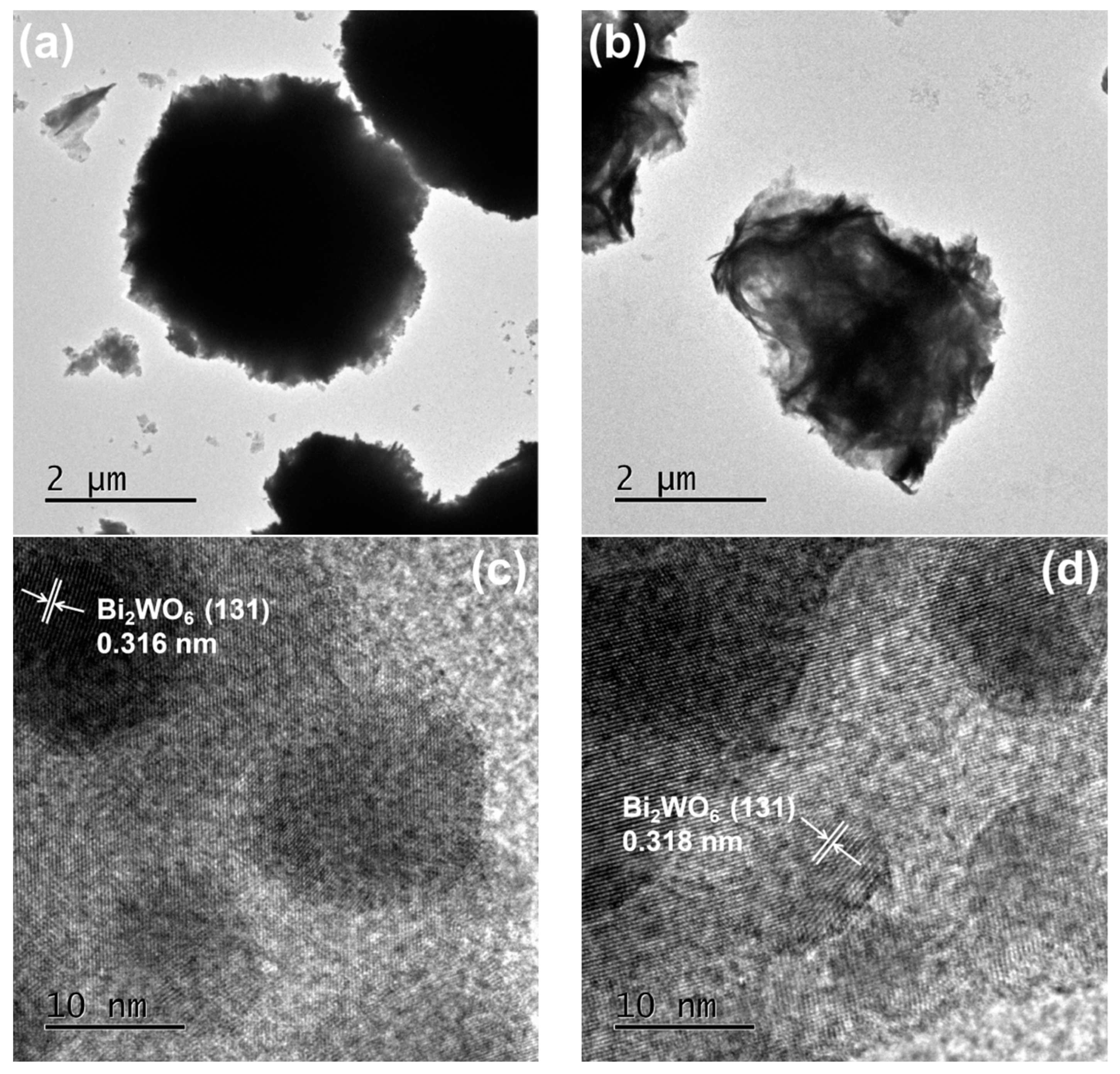 Ijms 23 08422 g003 550