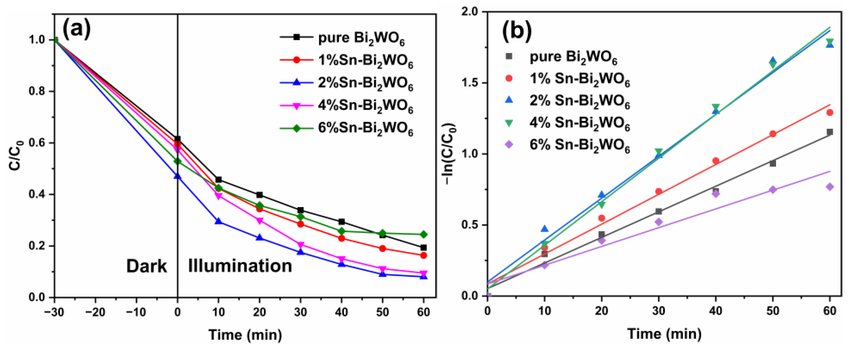 Ijms 23 08422 g008 550