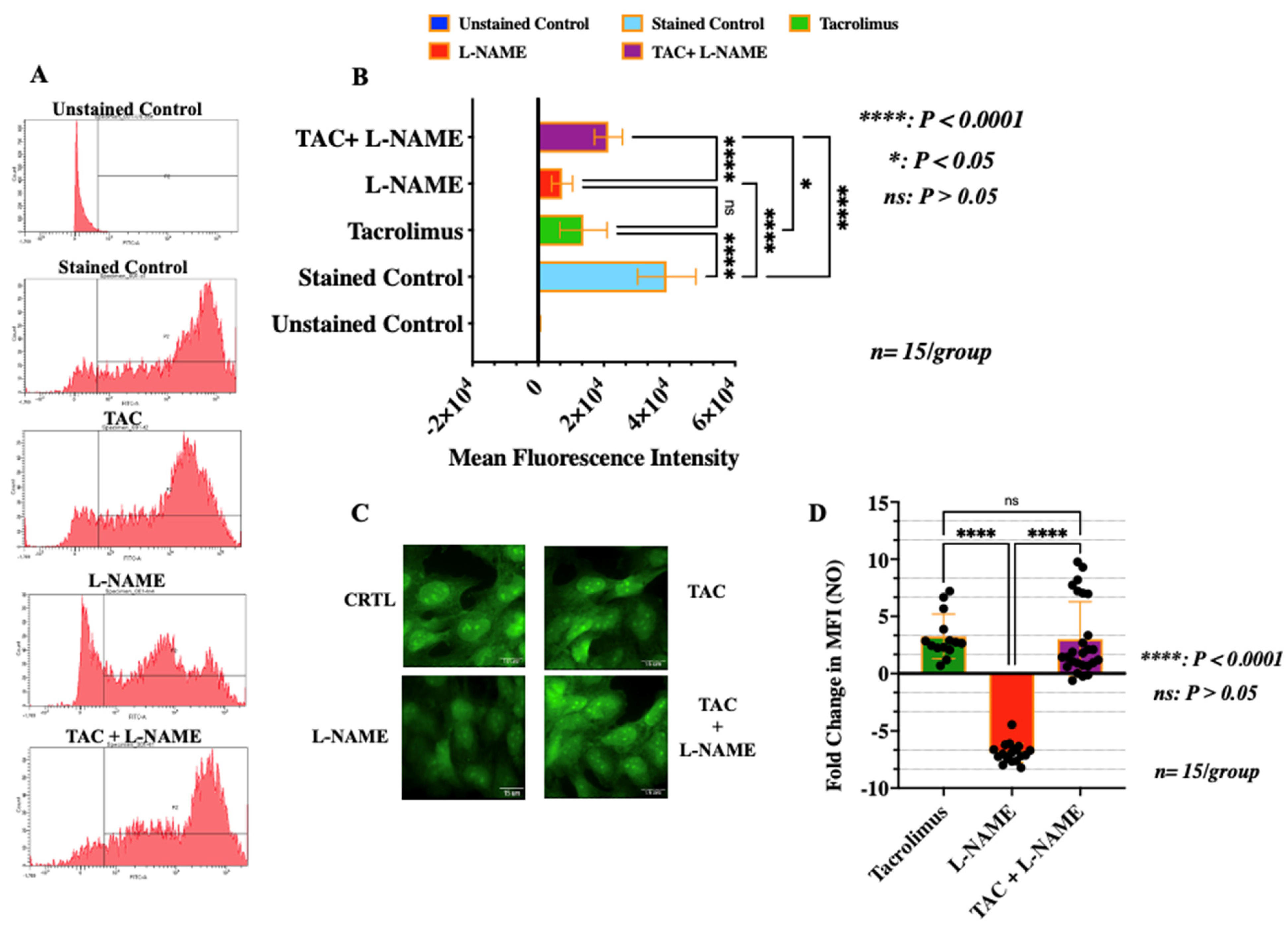 IJMS Free FullText LowDose Tacrolimus Promotes the Migration and