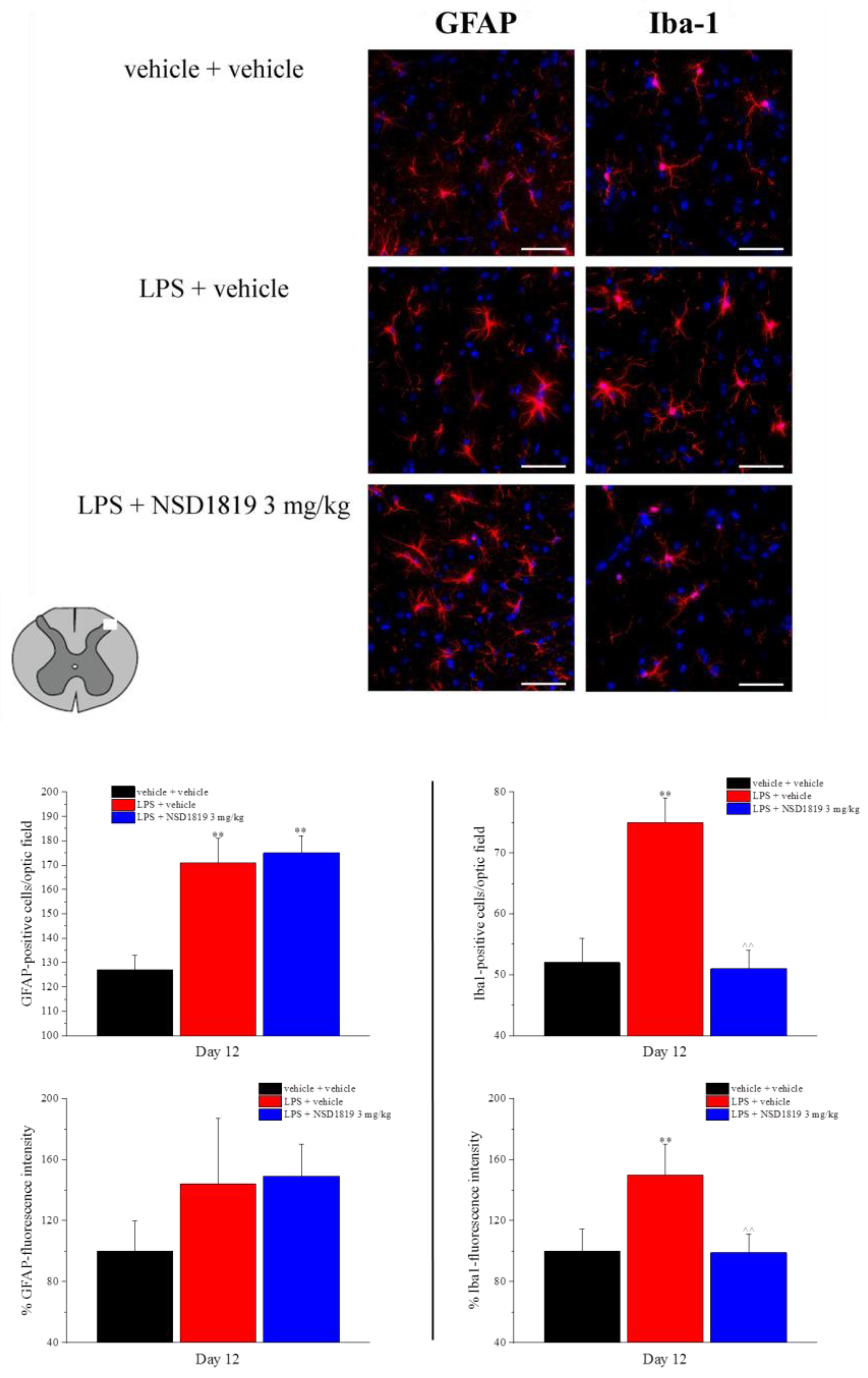 Ijms 23 08428 g006 550
