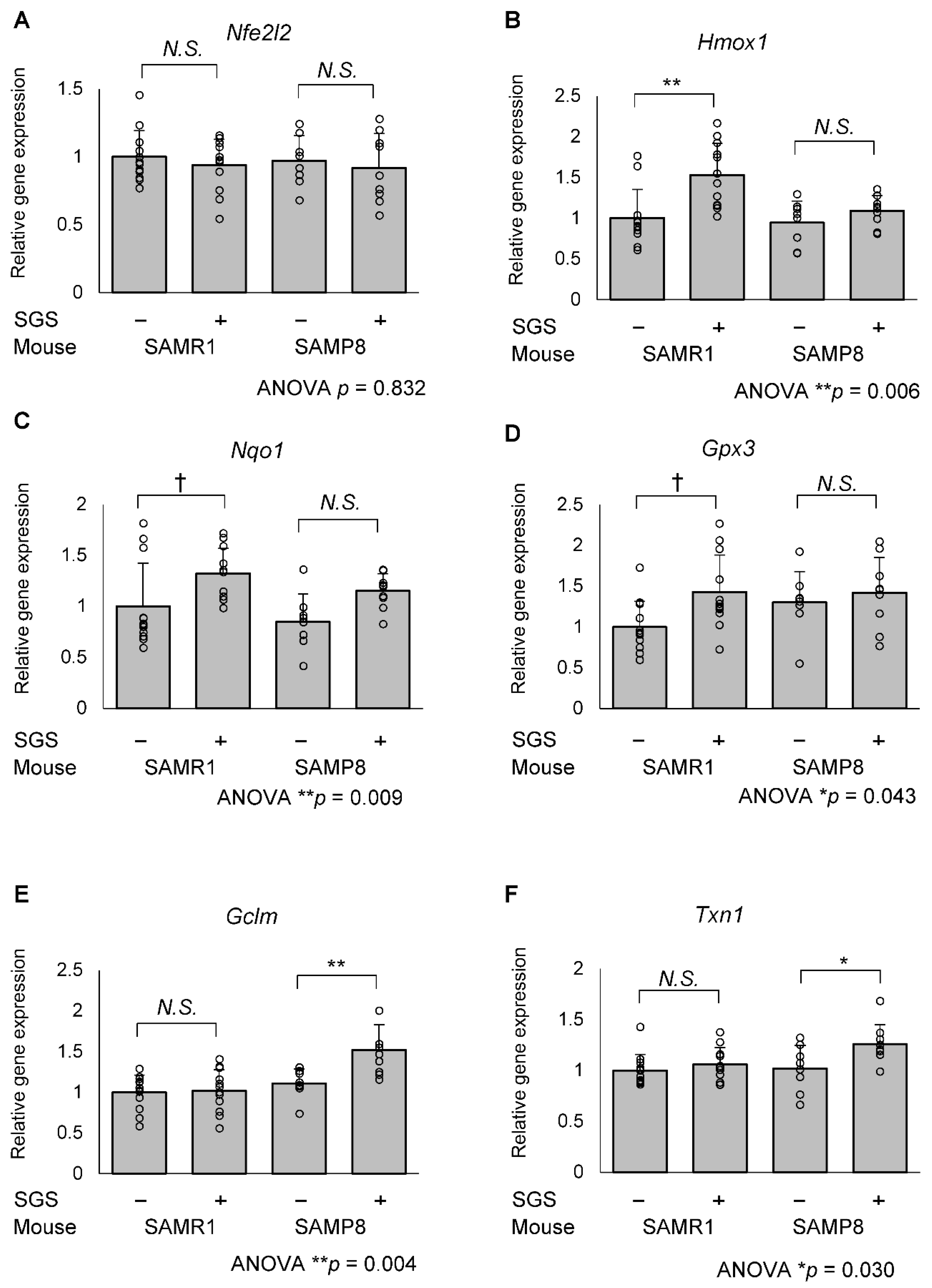 Ijms 23 08433 g005 550