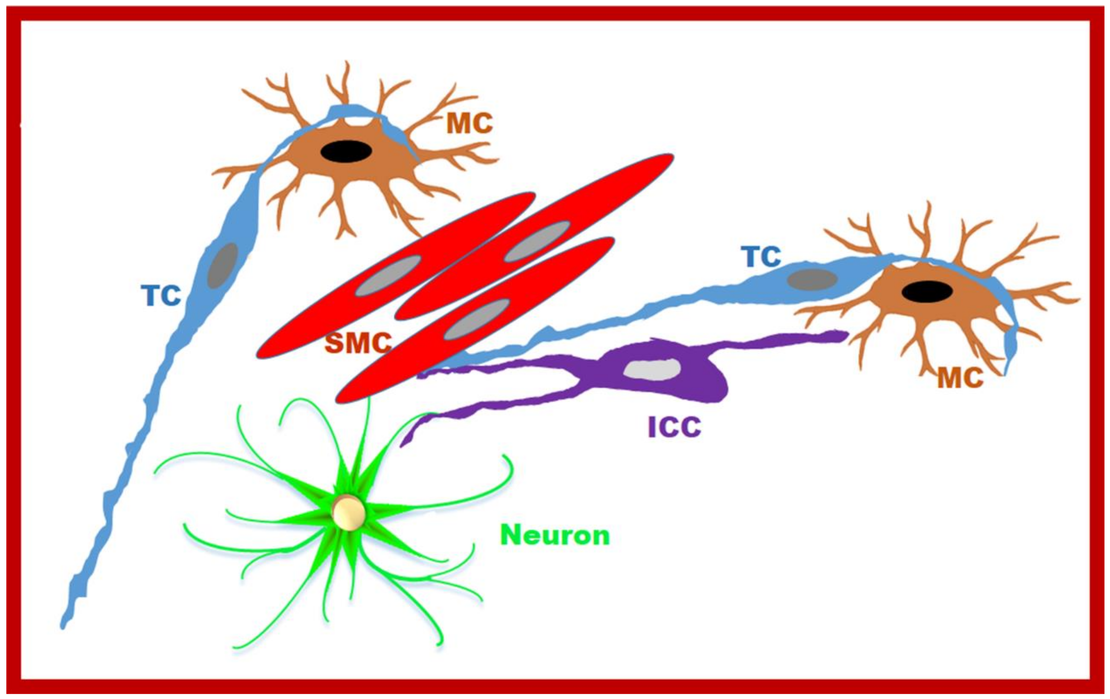 Ijms 23 08435 g003 550