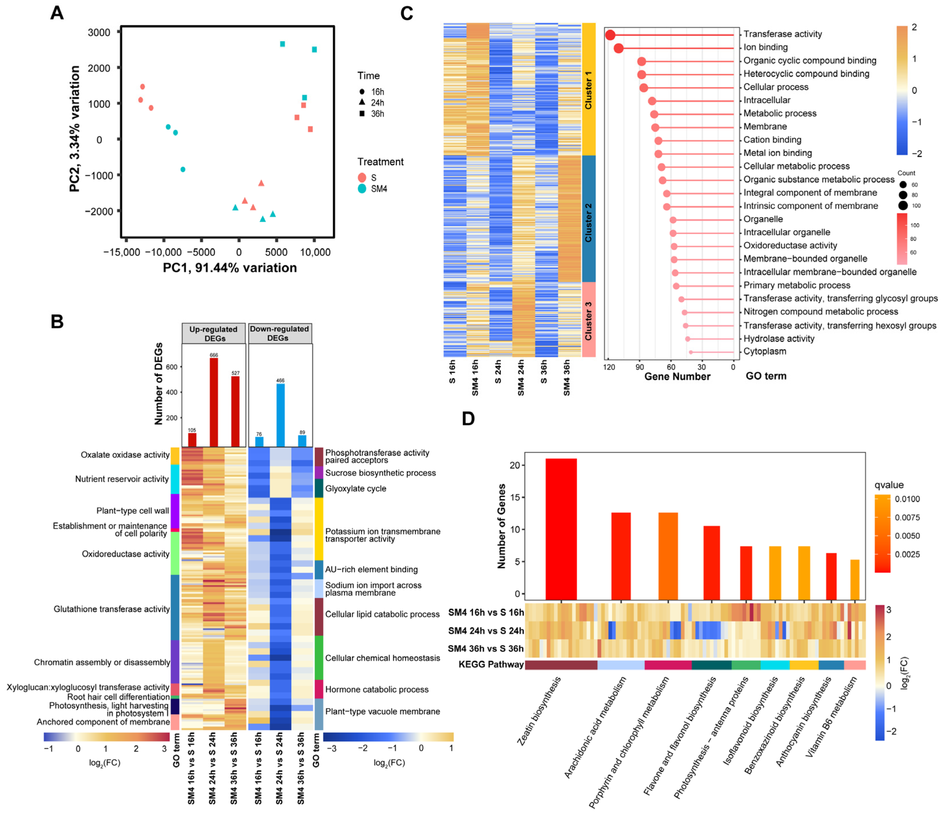 Ijms 23 08436 g003 550