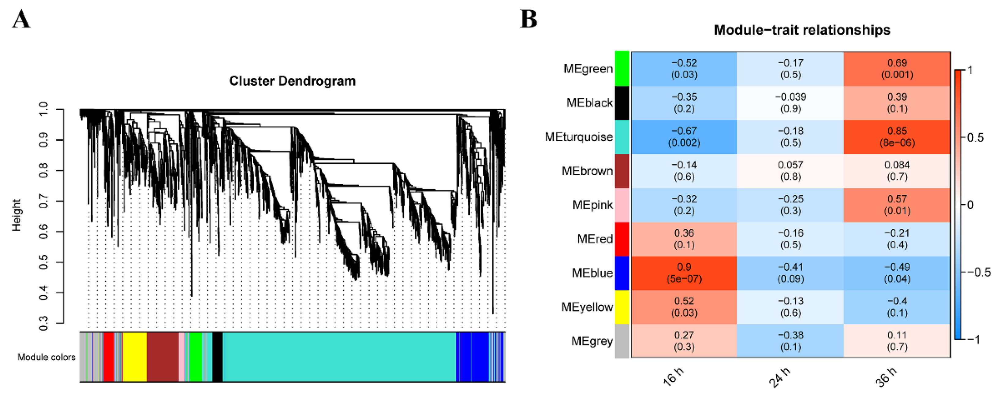 Ijms 23 08436 g004 550