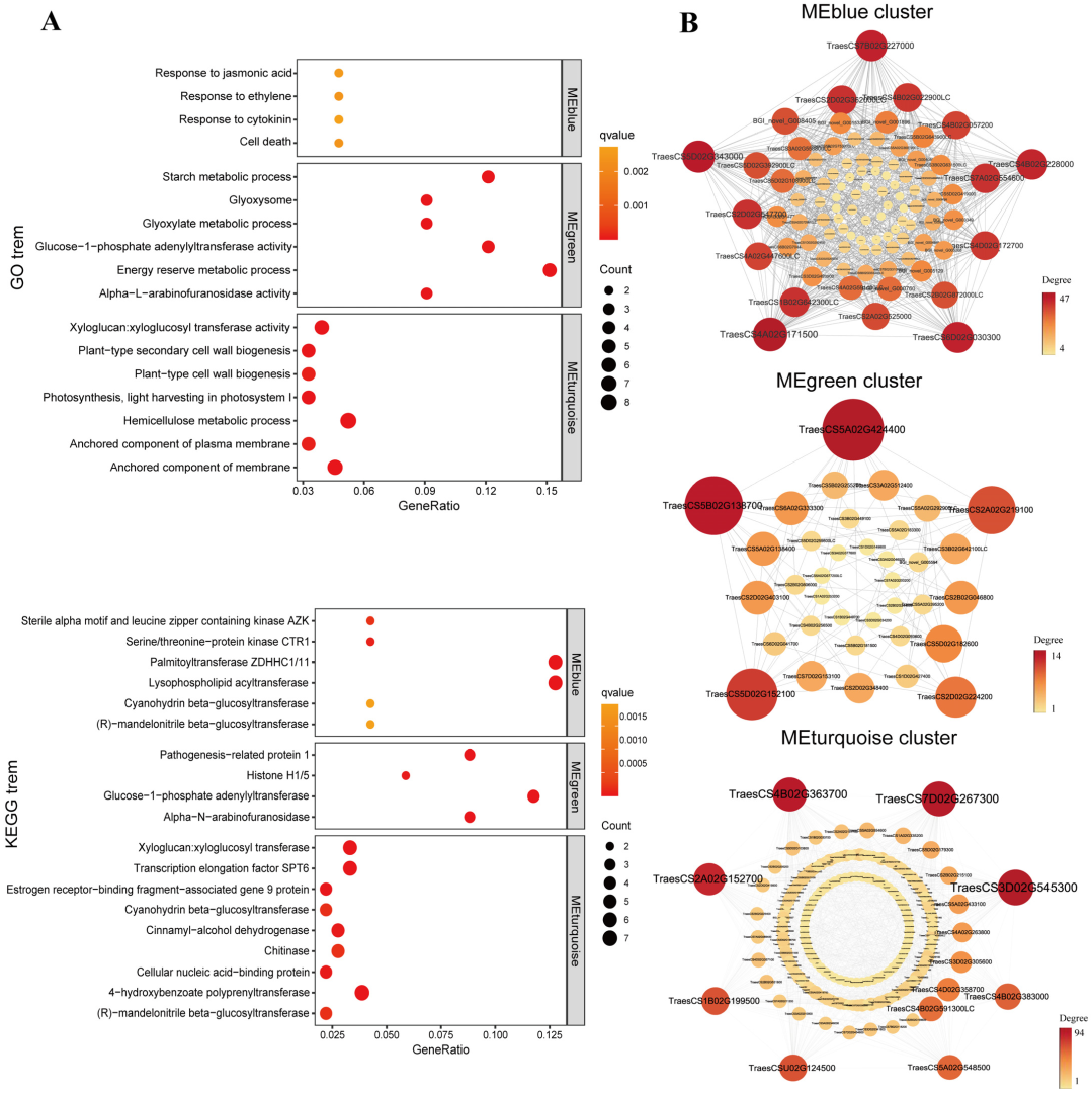 Ijms 23 08436 g005 550