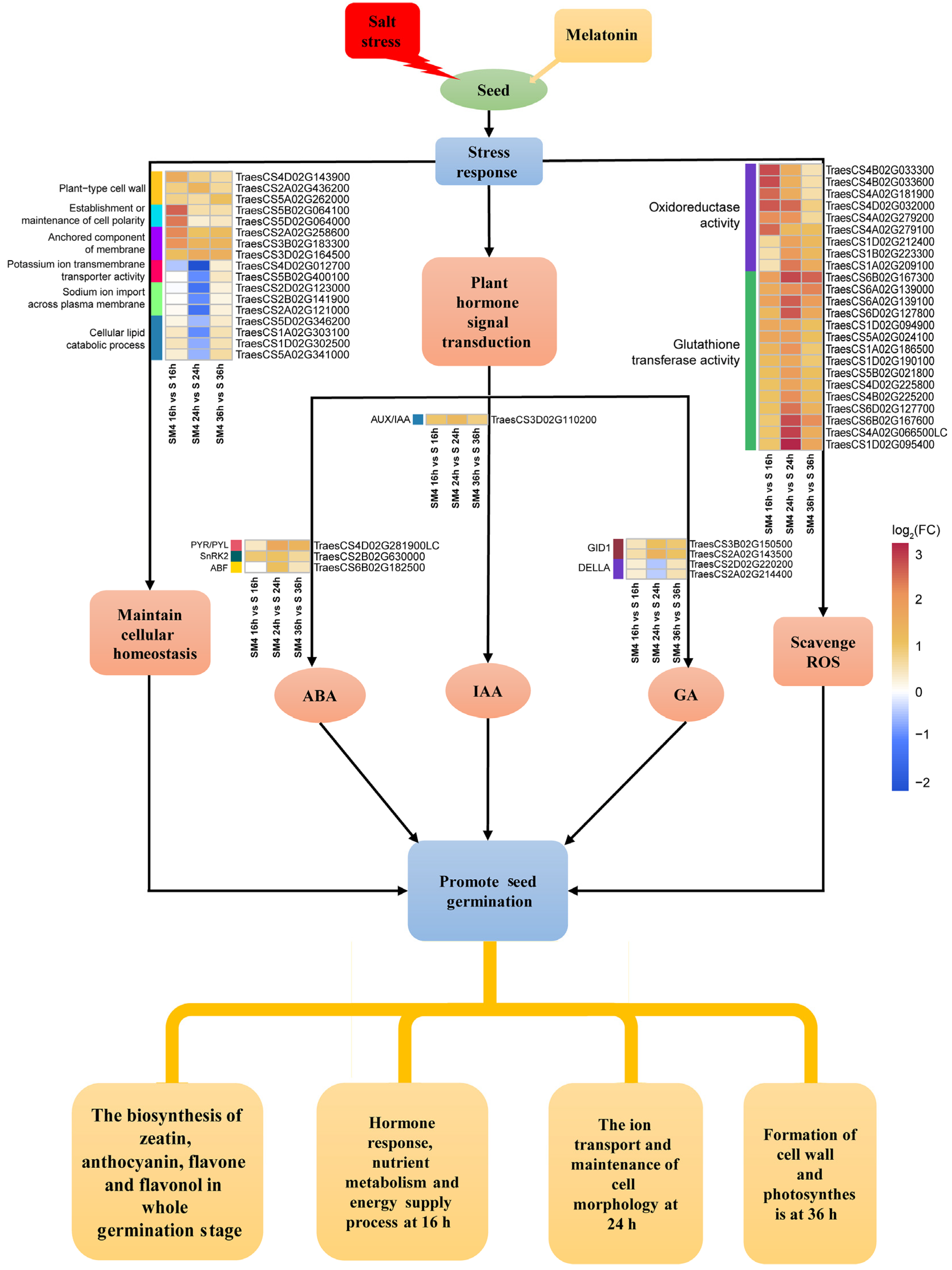 Ijms 23 08436 g006 550