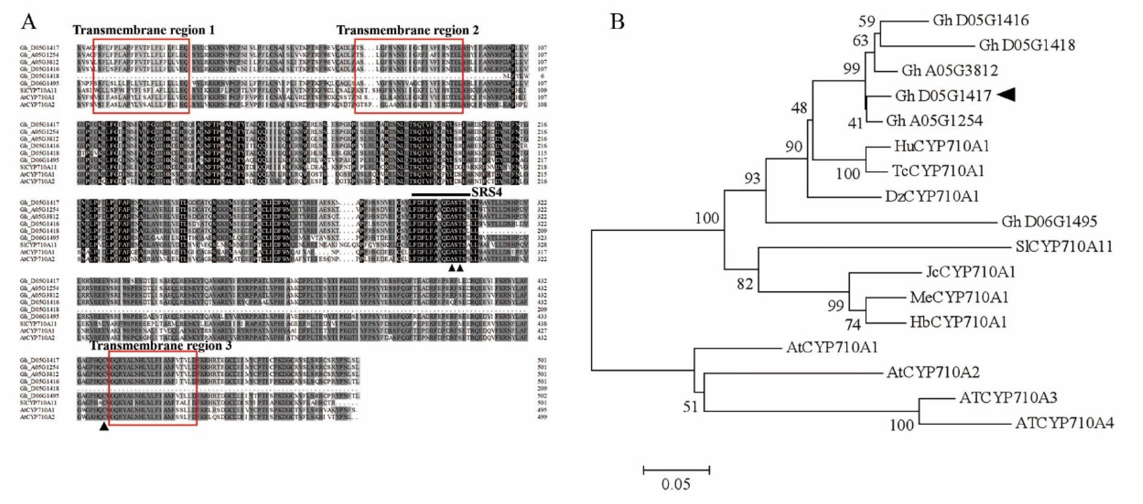 Ijms 23 08437 g002 Ijms 23 08437 g002