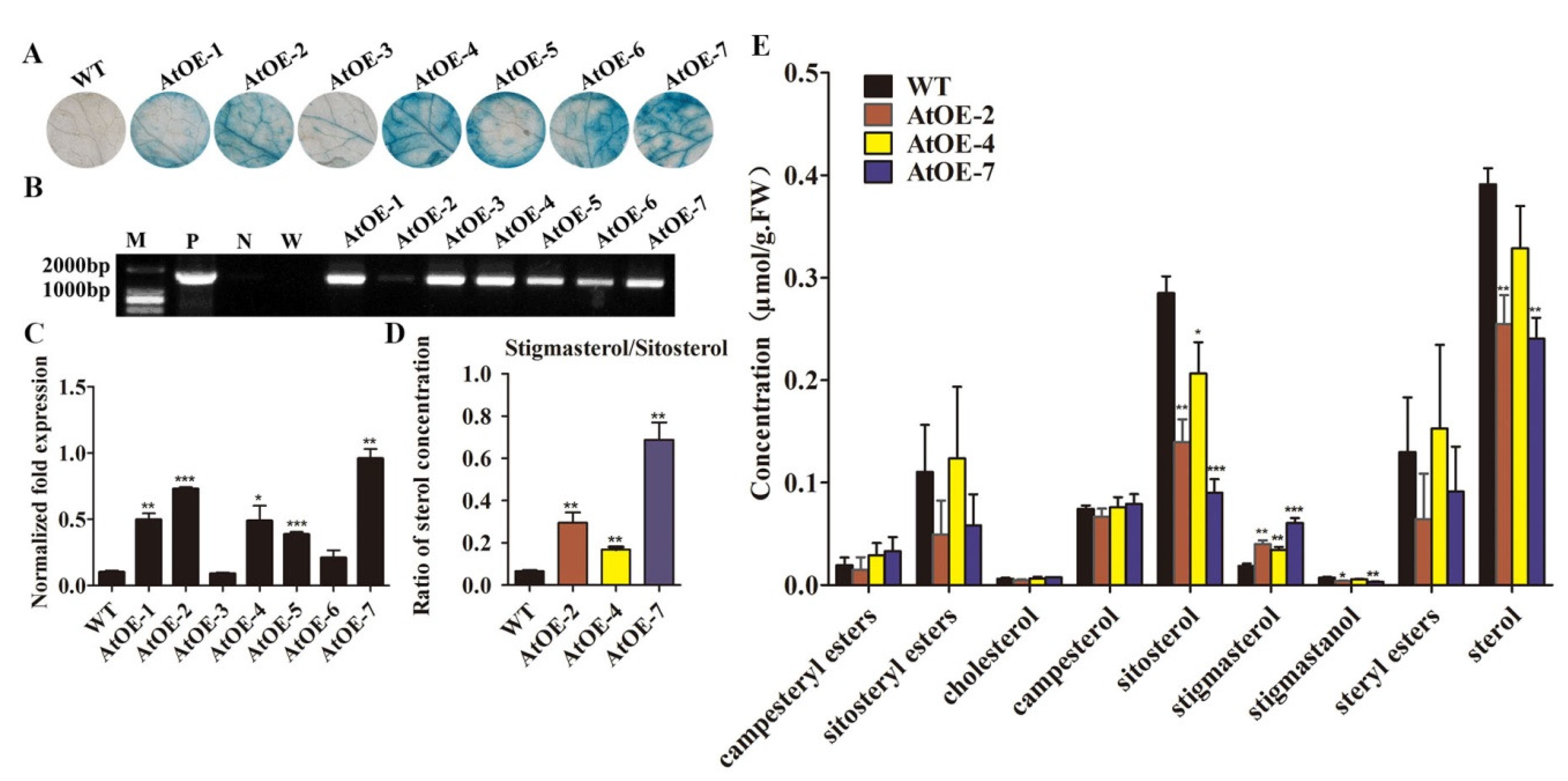 Ijms 23 08437 g004 Ijms 23 08437 g004