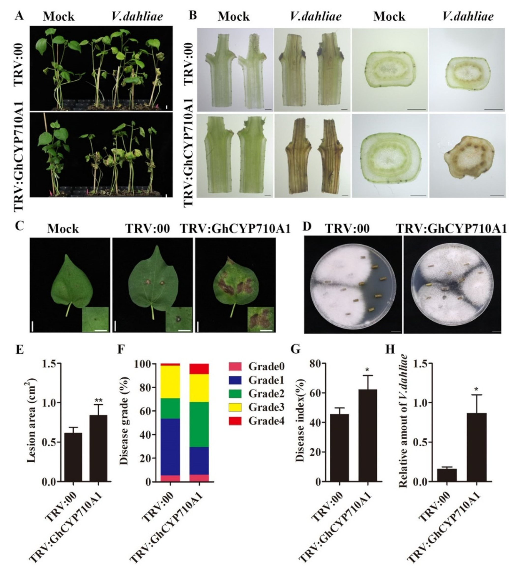 Ijms 23 08437 g007 Ijms 23 08437 g007