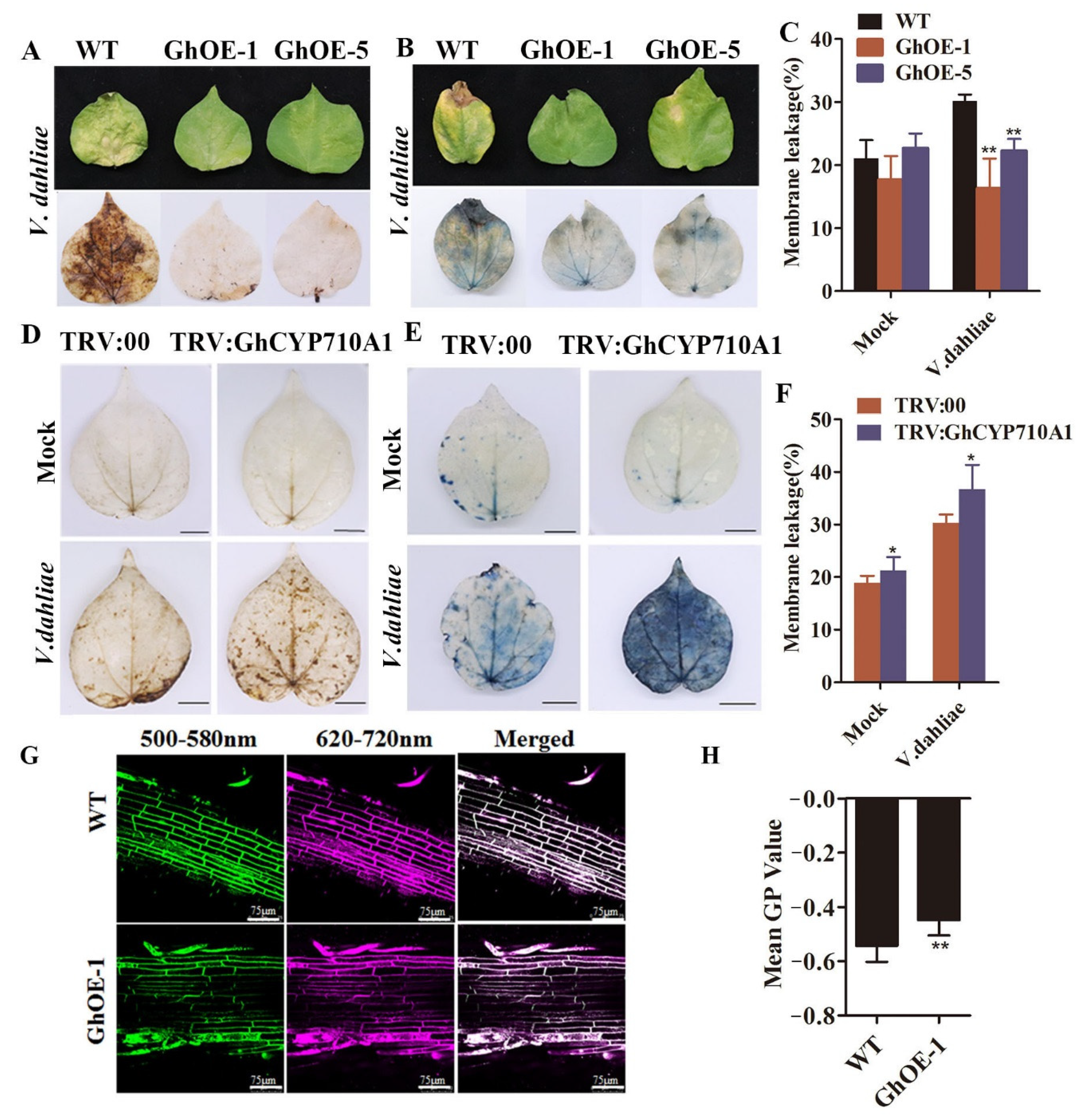 Ijms 23 08437 g008 Ijms 23 08437 g008