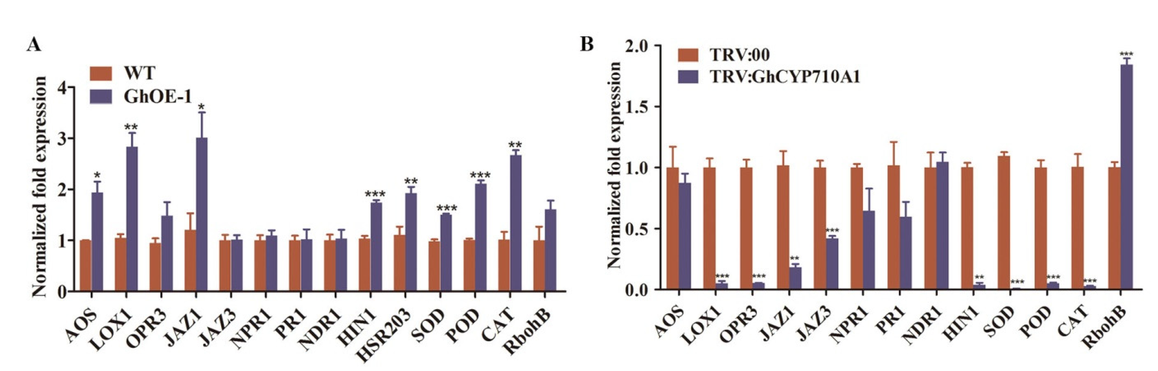 Ijms 23 08437 g009 Ijms 23 08437 g009