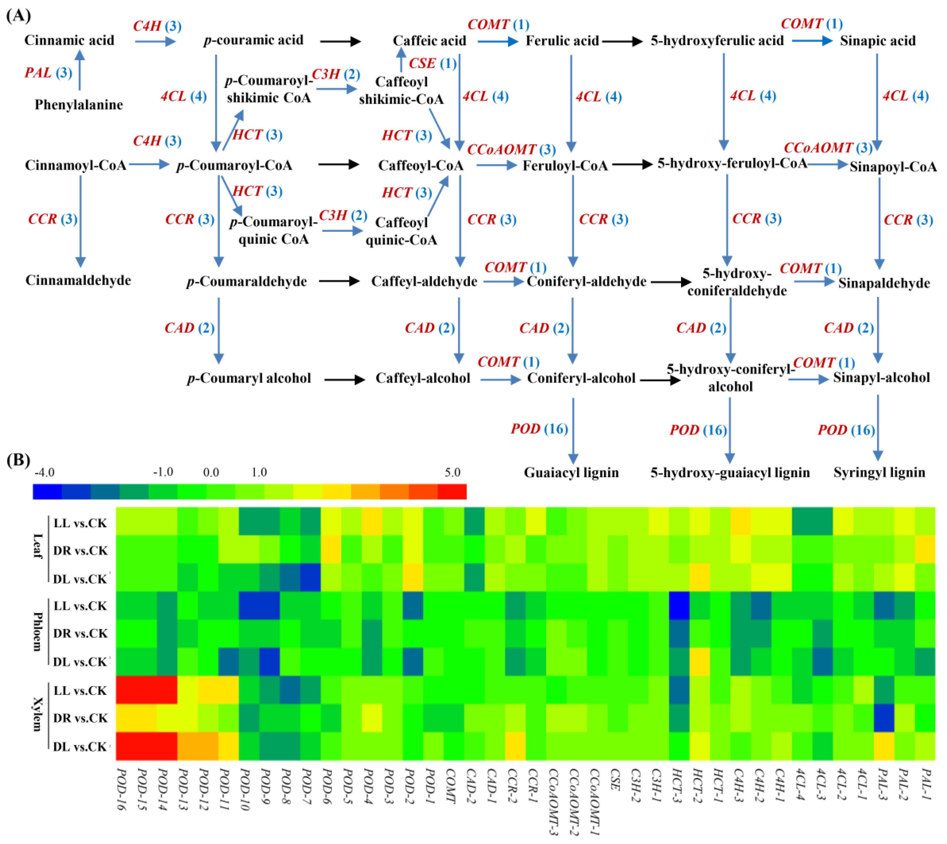 Ijms 23 08441 g005 550