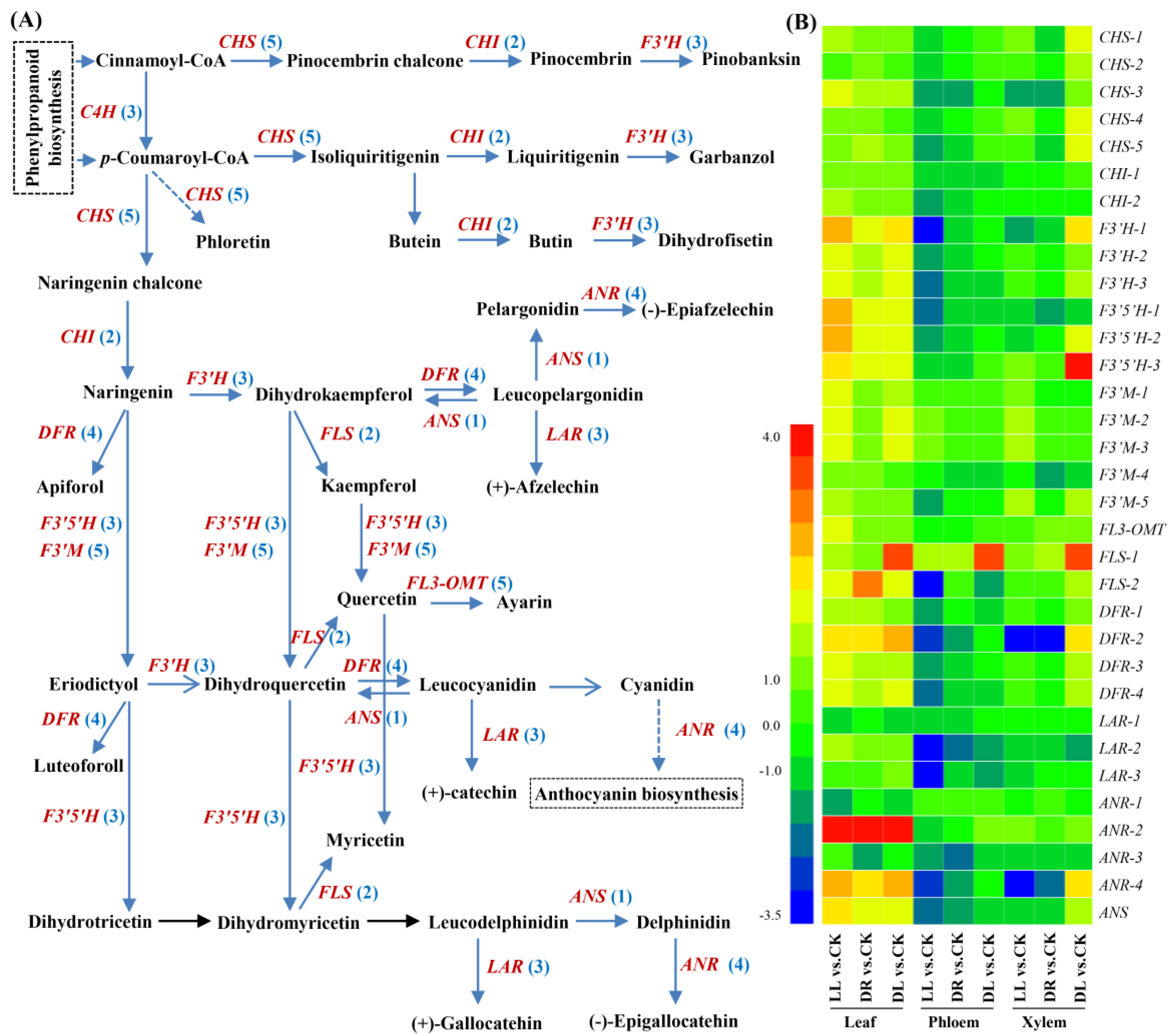 Ijms 23 08441 g006 550
