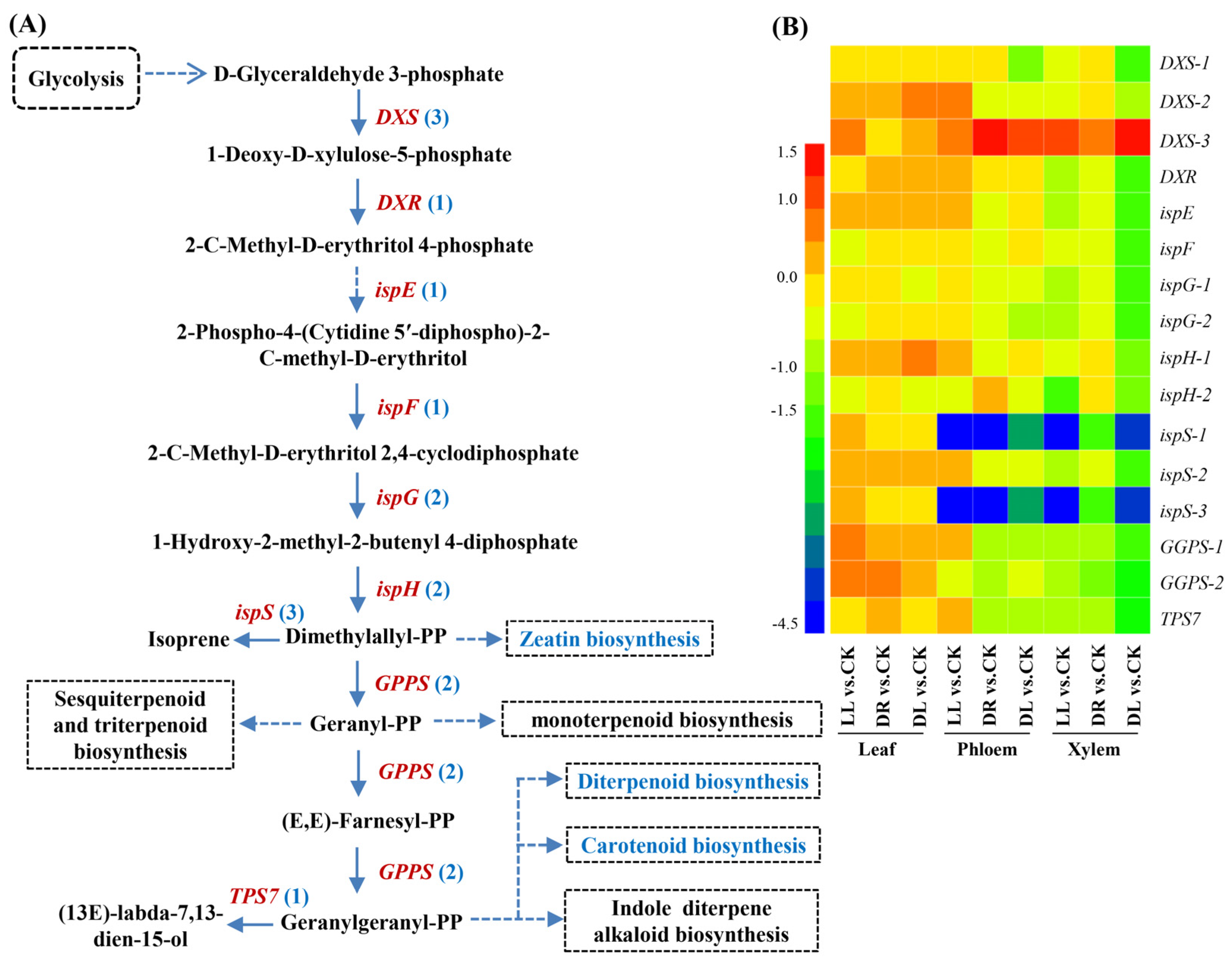 Ijms 23 08441 g007 550