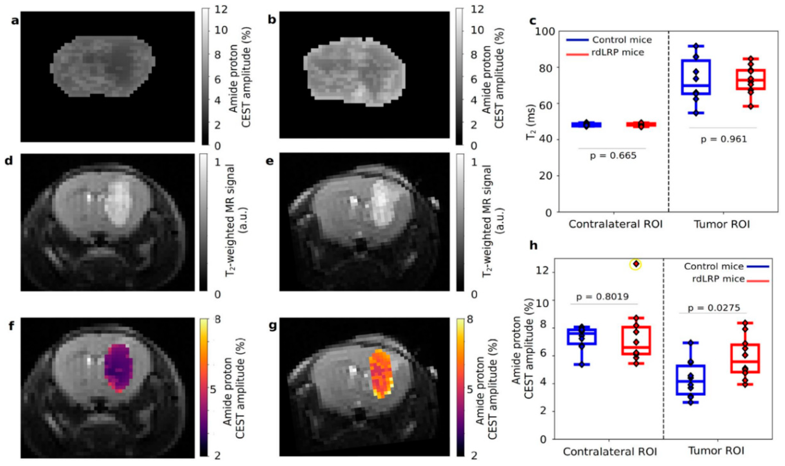 Ijms 23 08443 g005 Ijms 23 08443 g005