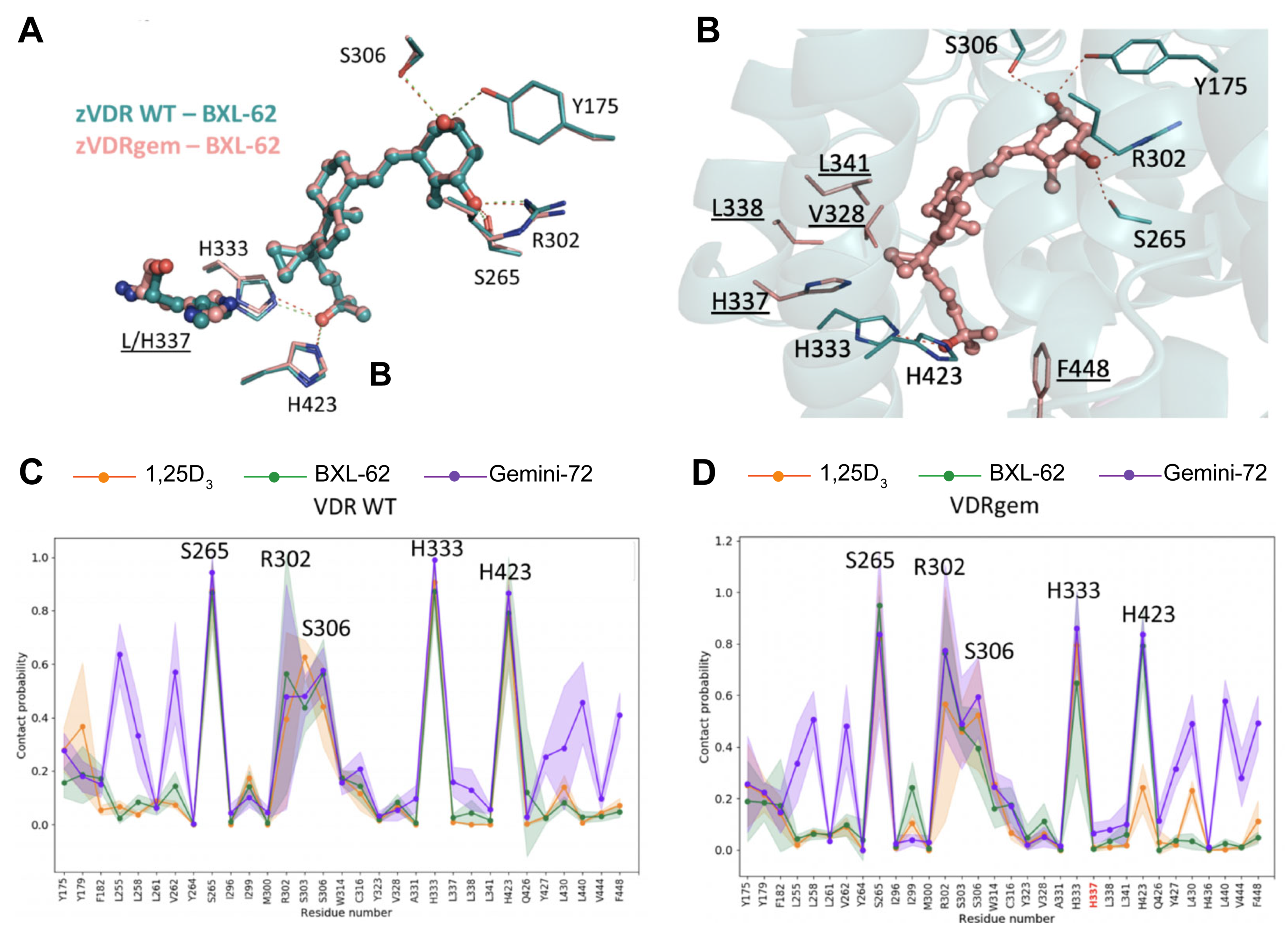 Ijms 23 08445 g004 550