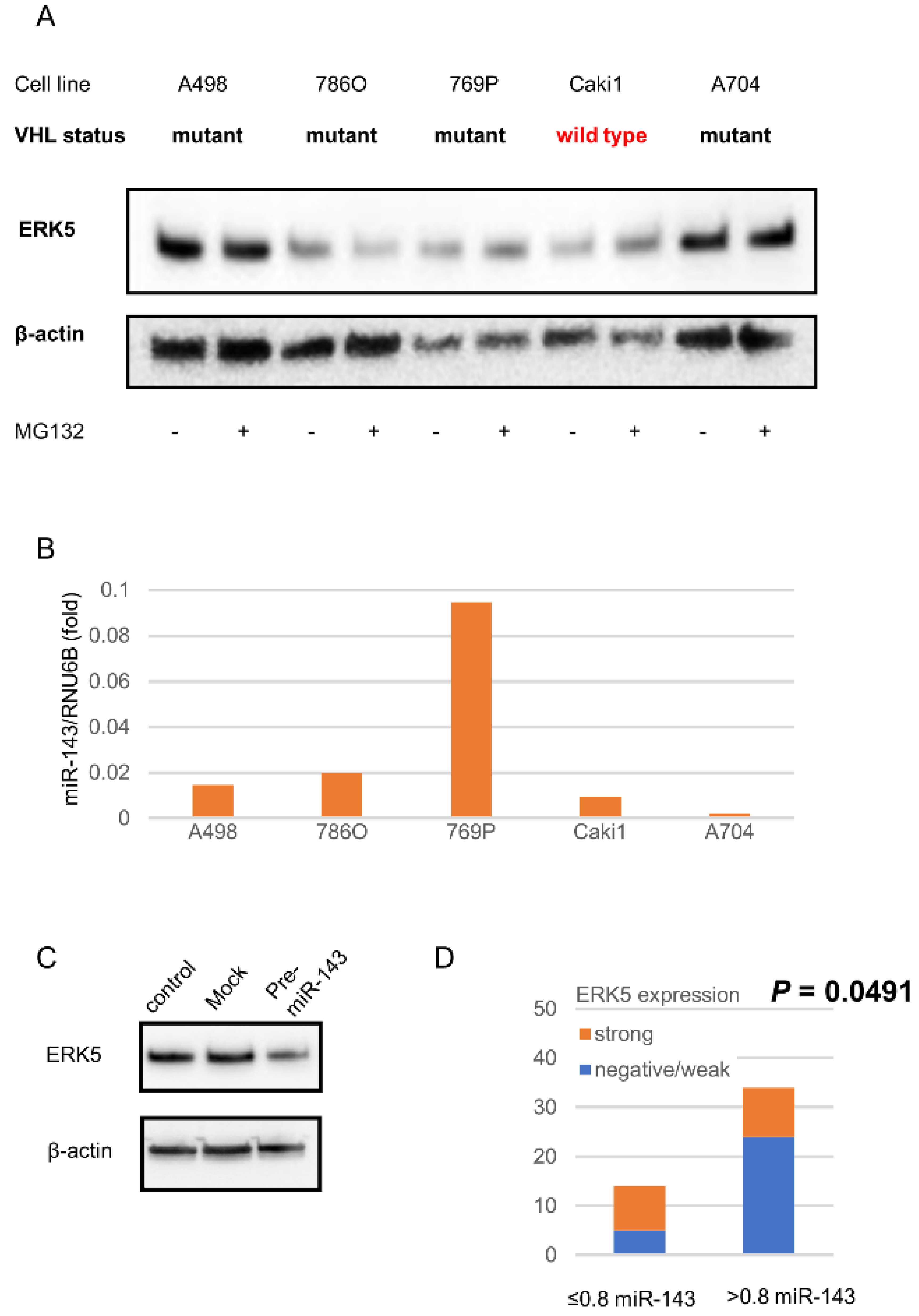 Ijms 23 08448 g002 Ijms 23 08448 g002