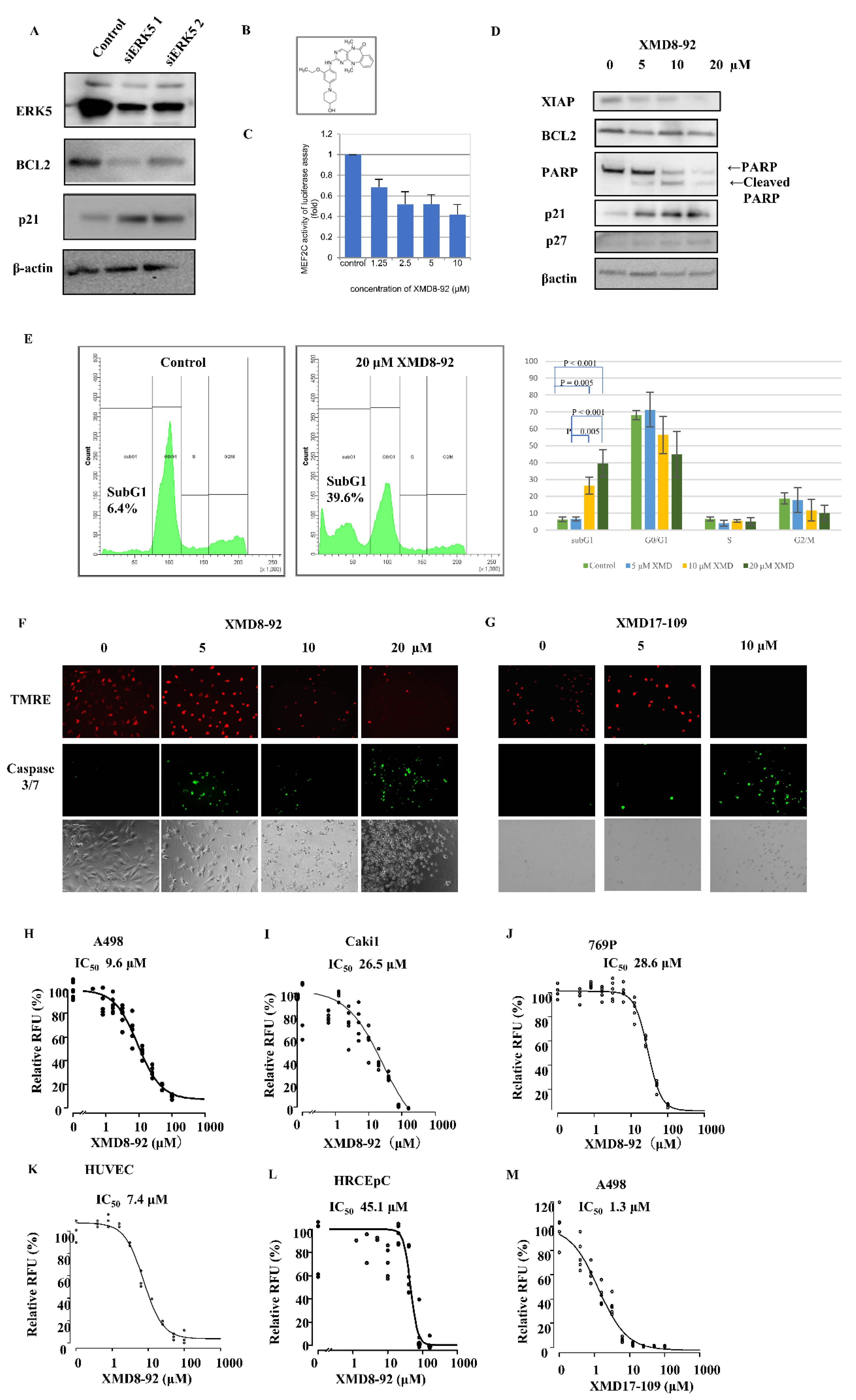 Ijms 23 08448 g003 Ijms 23 08448 g003