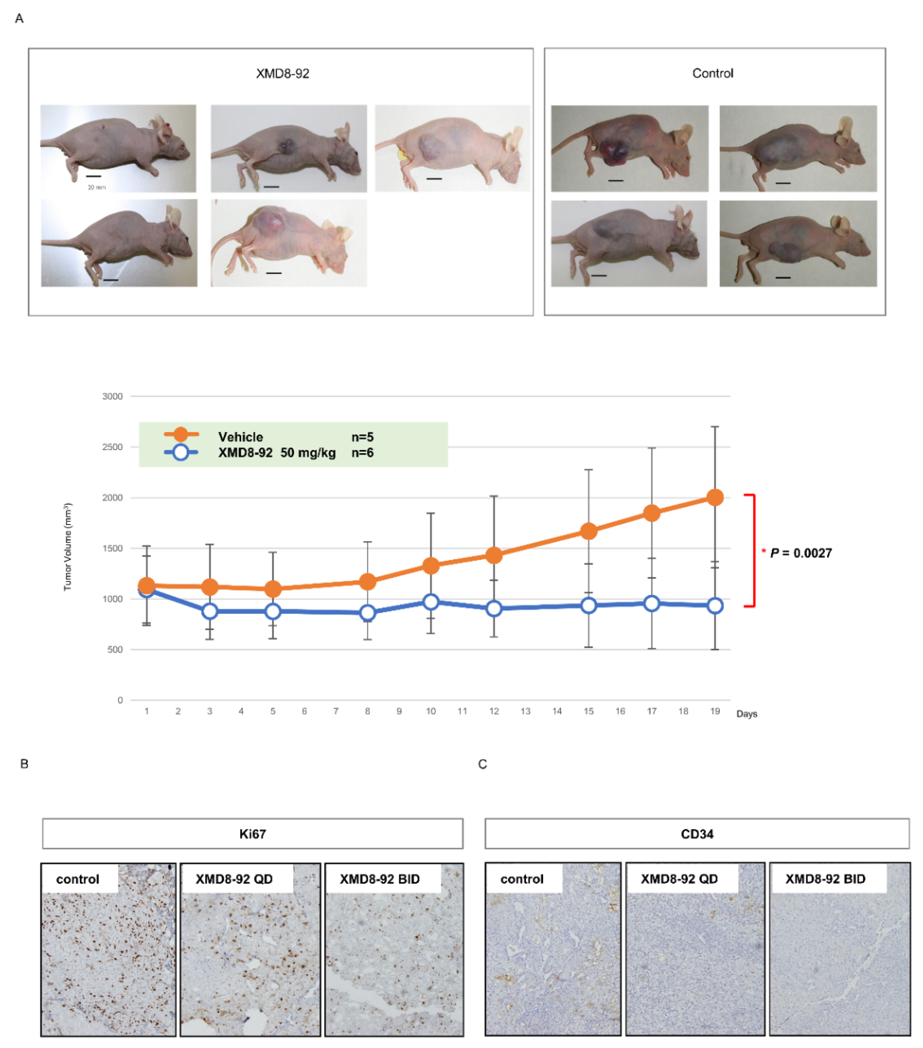 Ijms 23 08448 g004 Ijms 23 08448 g004