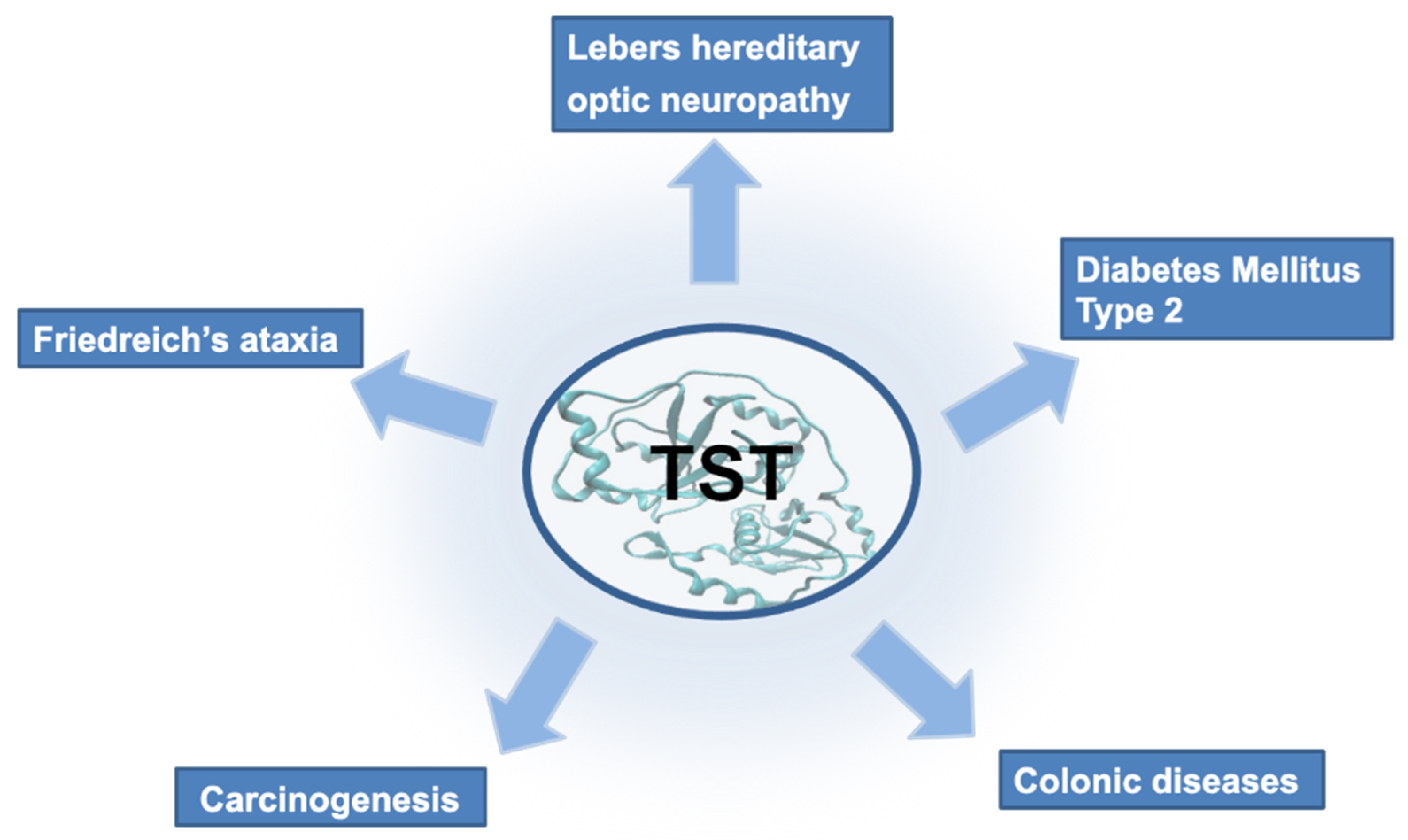 Ijms 23 08452 g004 550