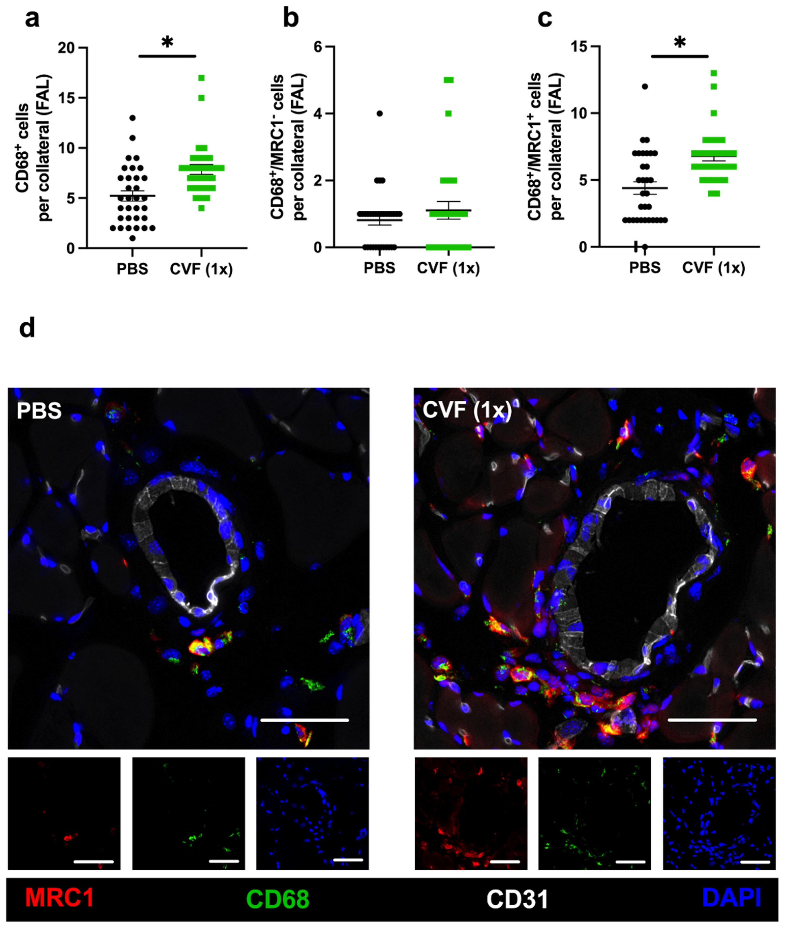 Ijms 23 08454 g006 550