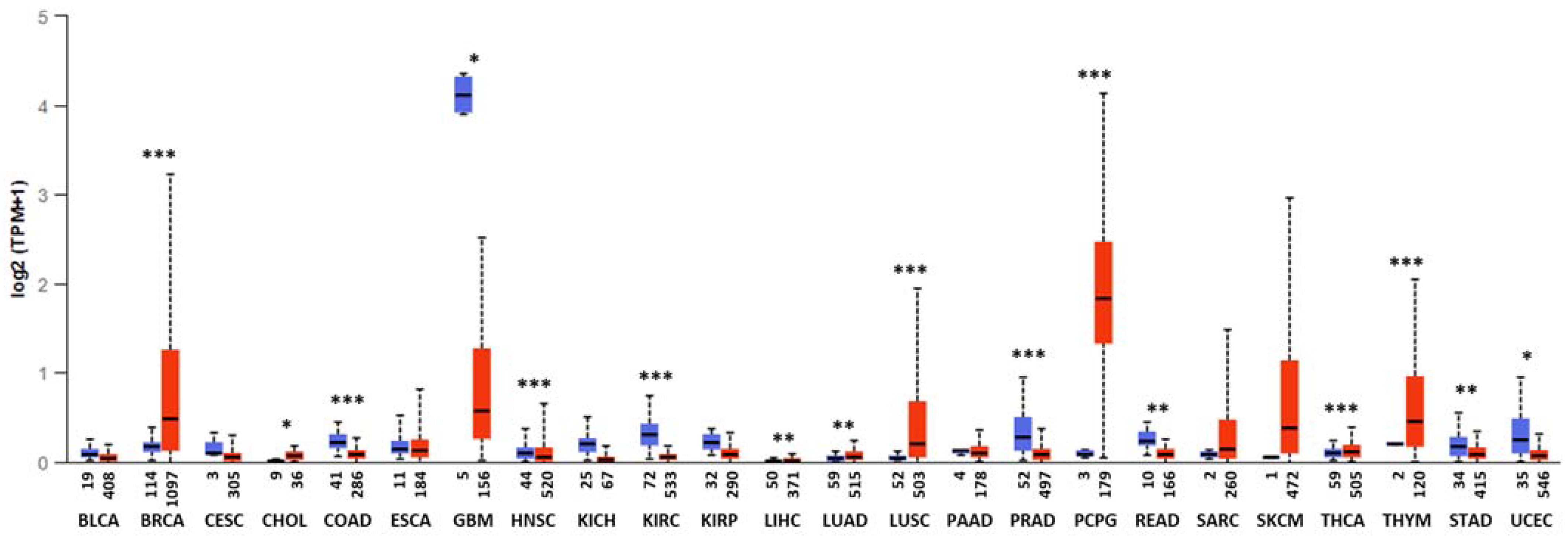 Ijms 23 08458 g001 Ijms 23 08458 g001