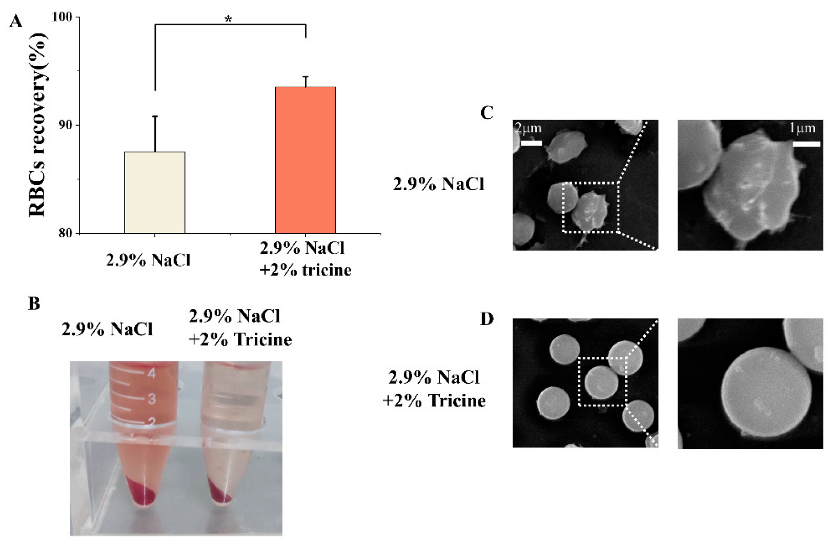 Ijms 23 08462 g003 Ijms 23 08462 g003