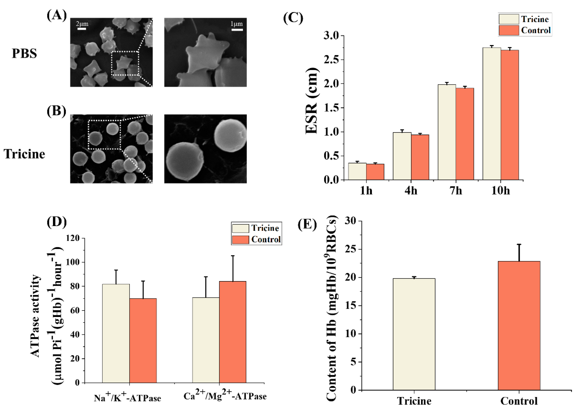 Ijms 23 08462 g006 Ijms 23 08462 g006
