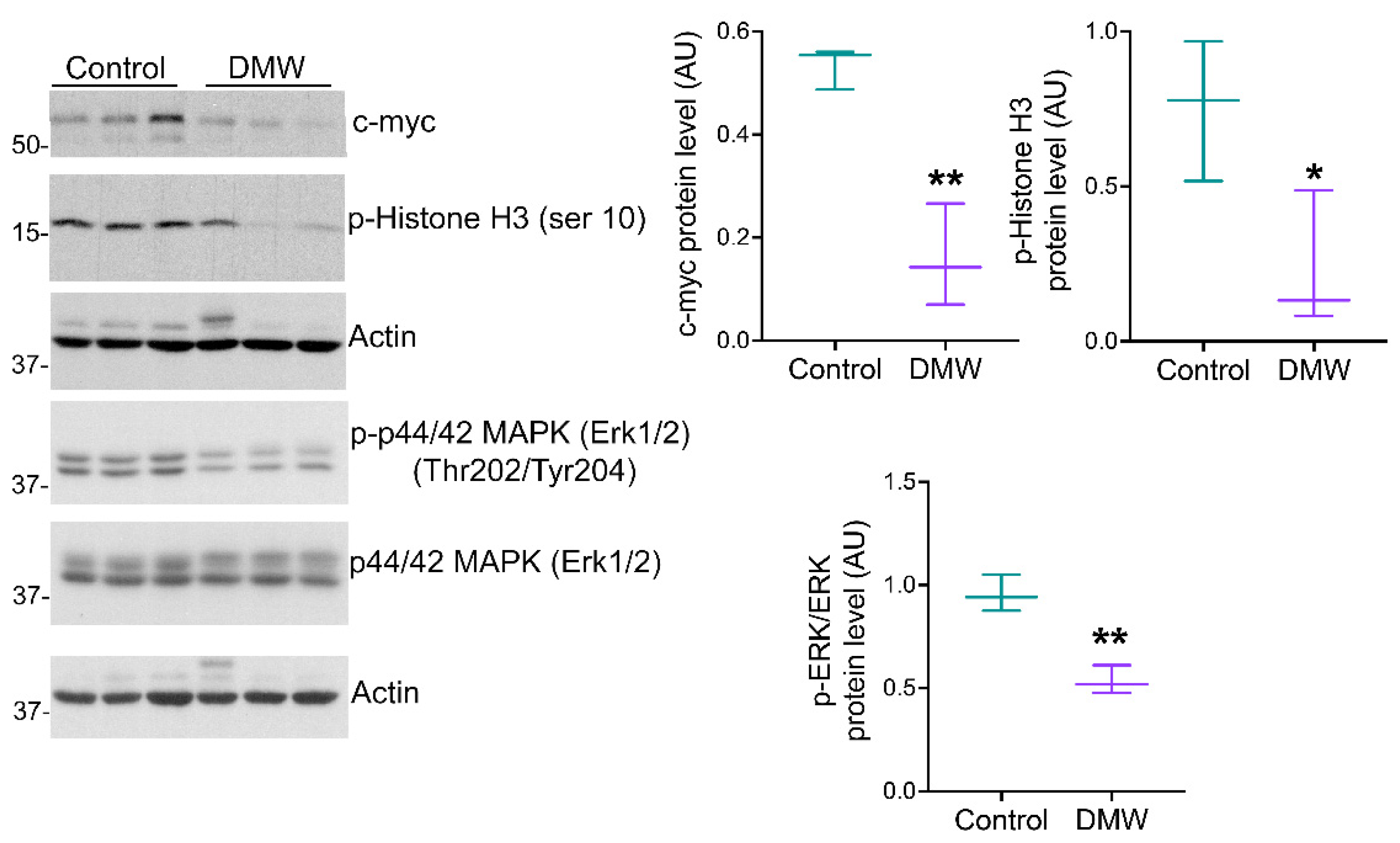 Ijms 23 08464 g002 550