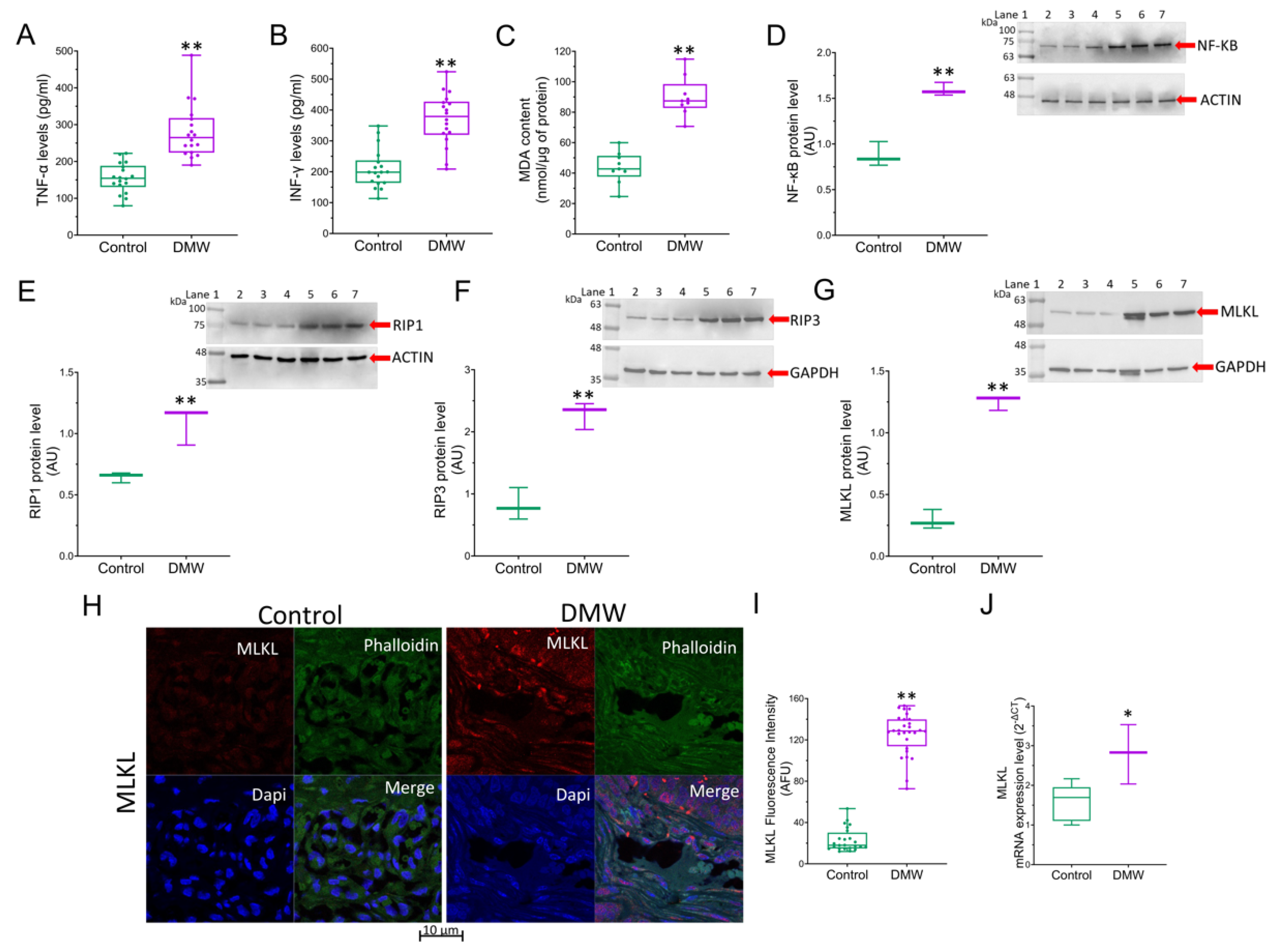 Ijms 23 08464 g003 550