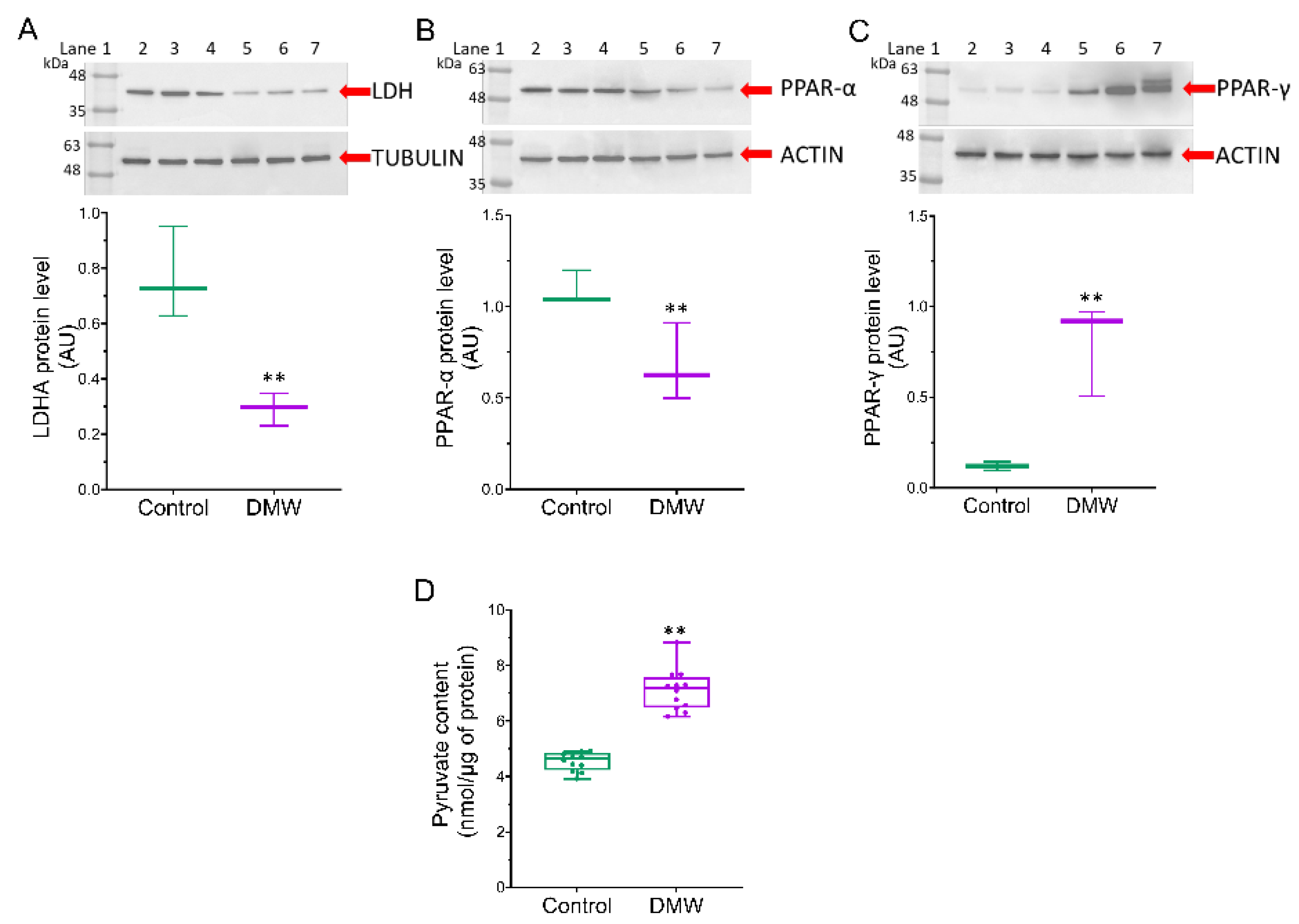 Ijms 23 08464 g006 550