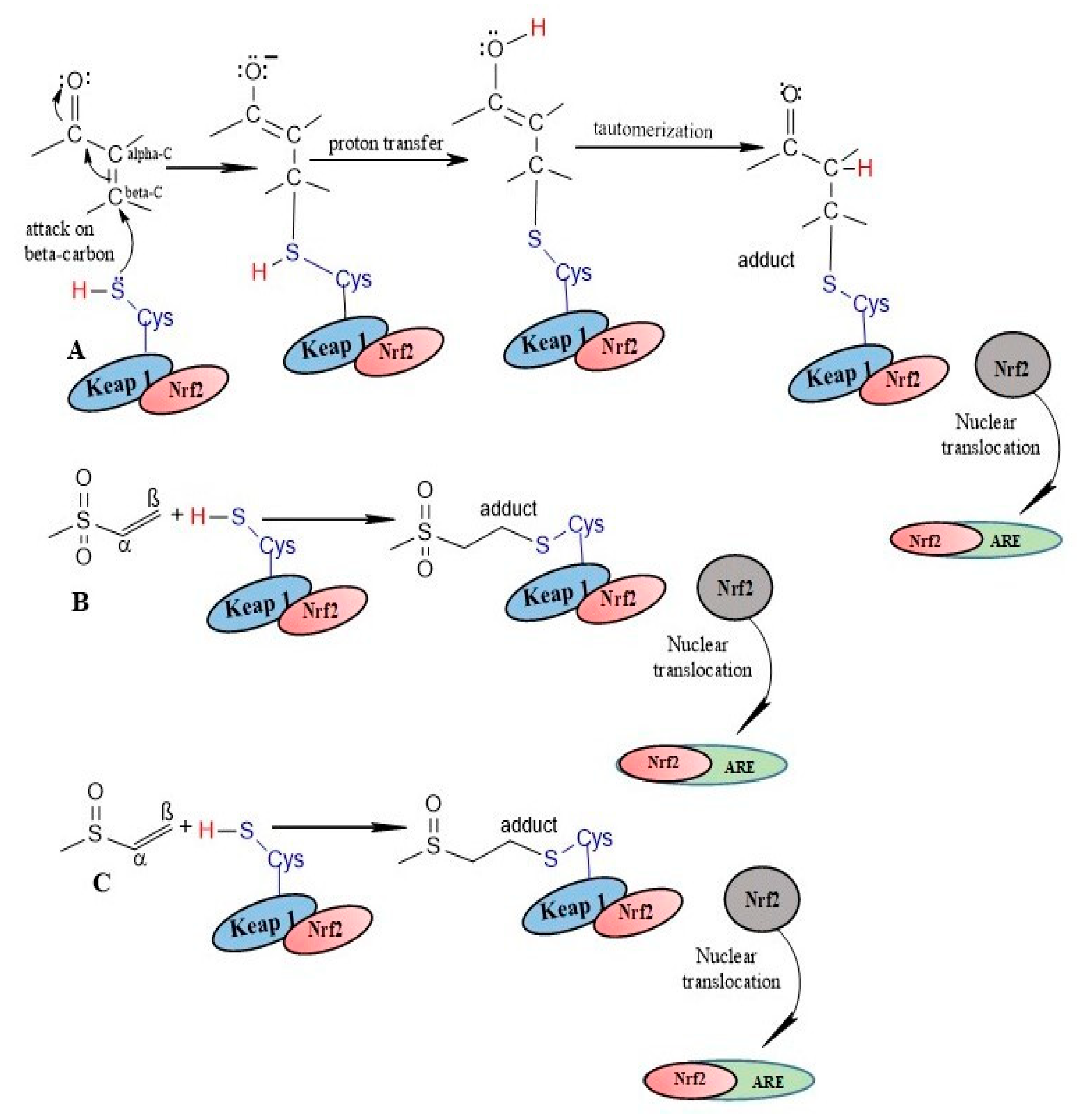 Ijms 23 08466 sch003