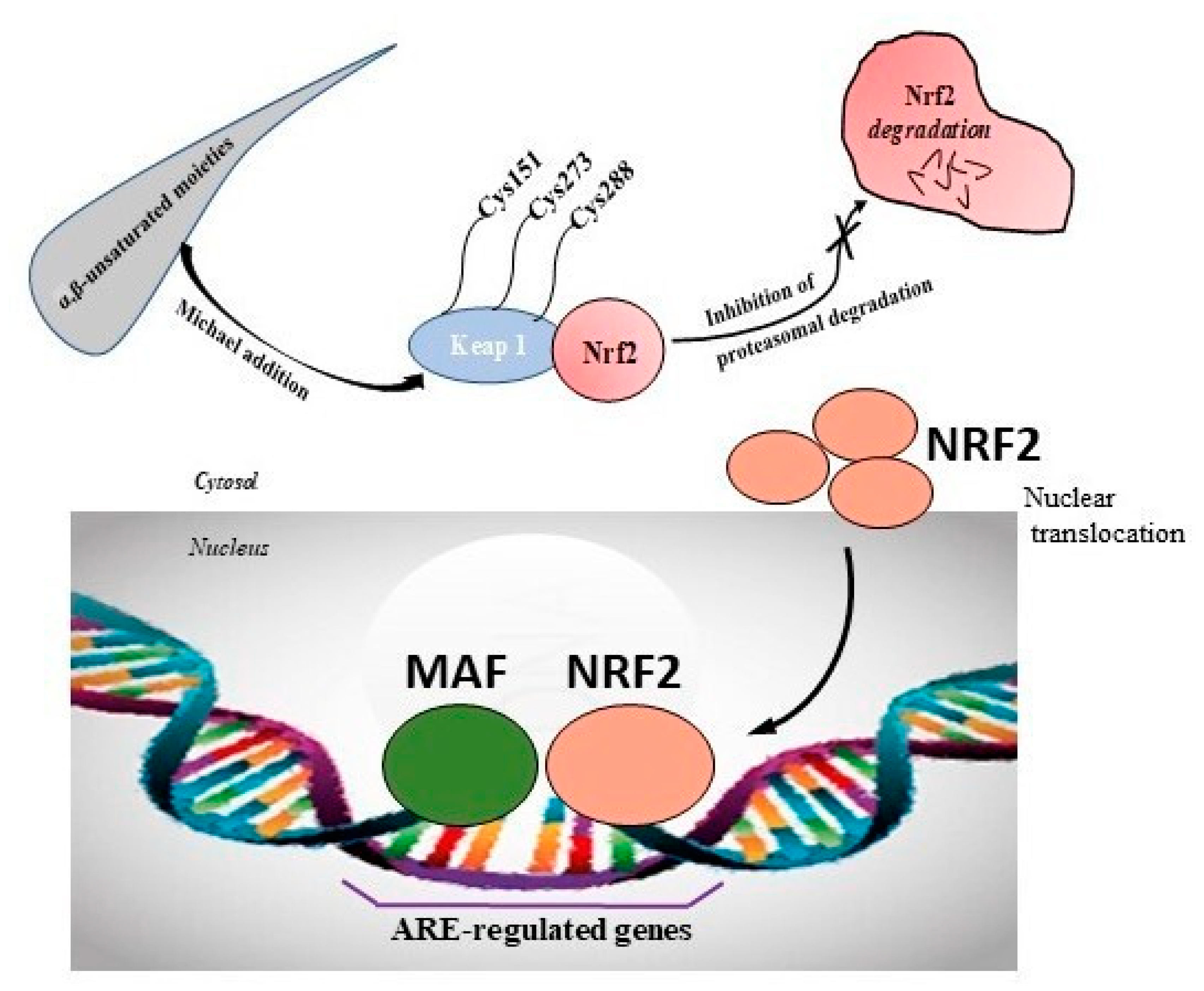 Ijms 23 08466 sch004