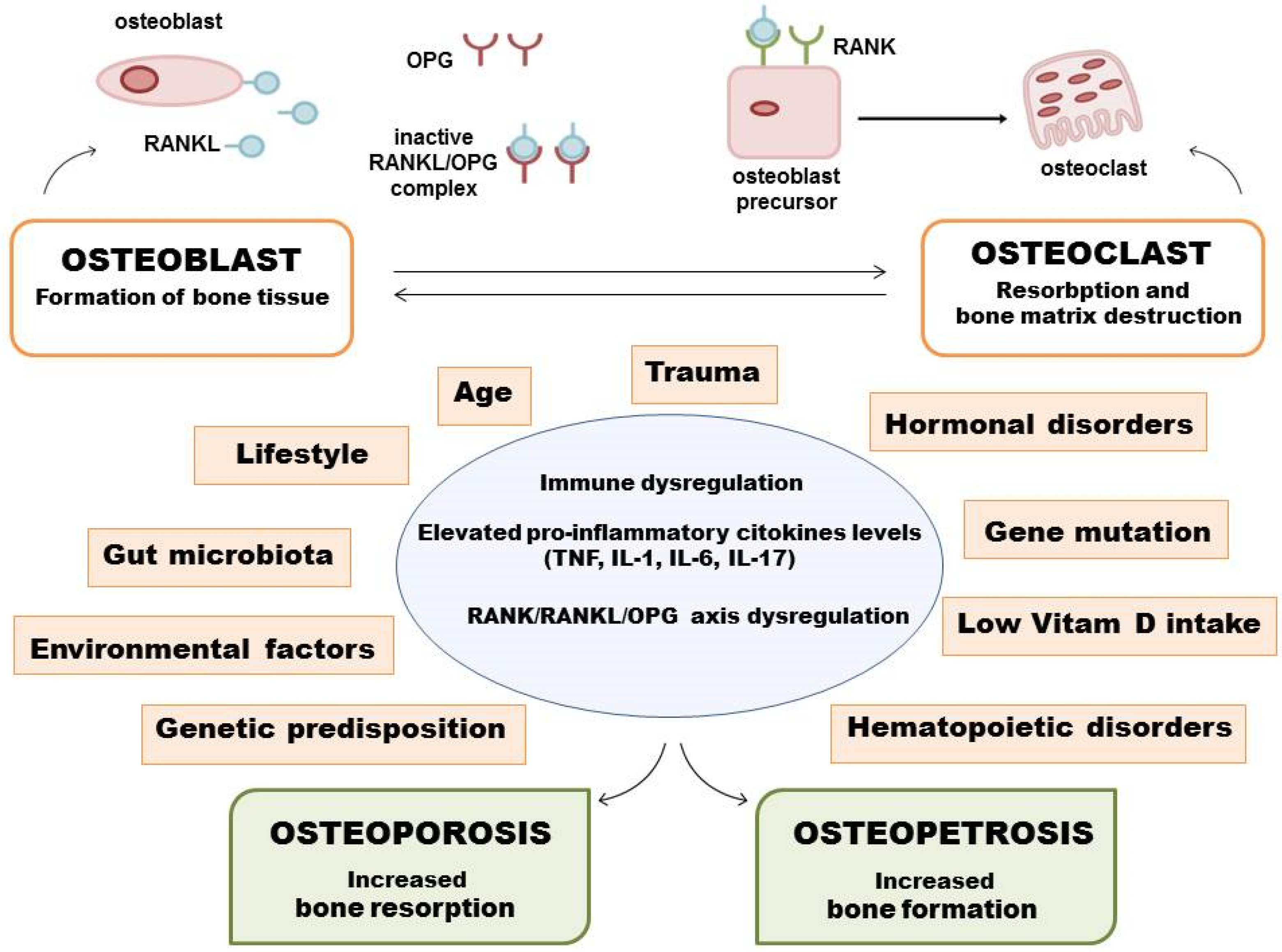 Ijms 23 08468 g001 Ijms 23 08468 g001