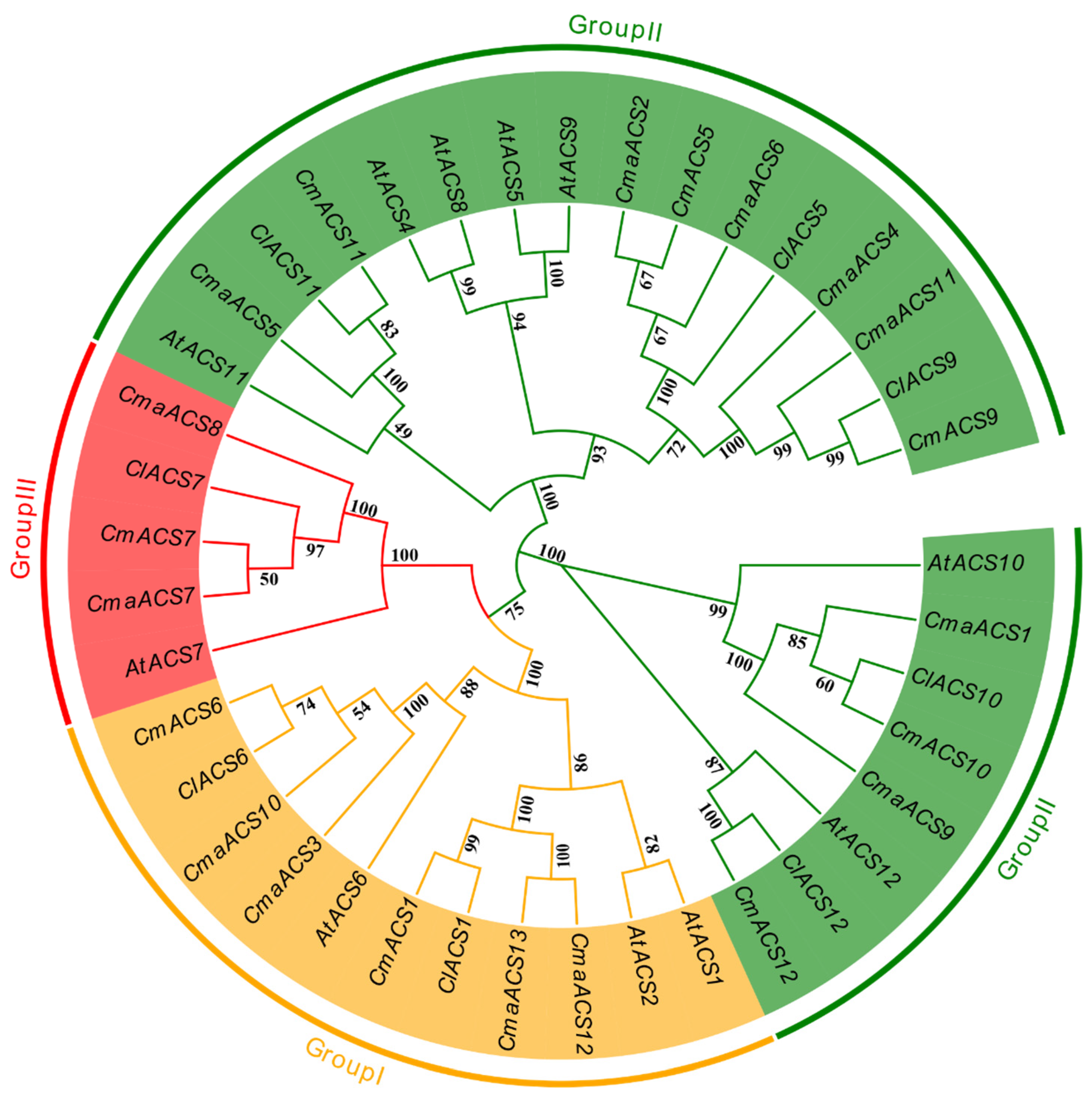 Ijms 23 08476 g001 550