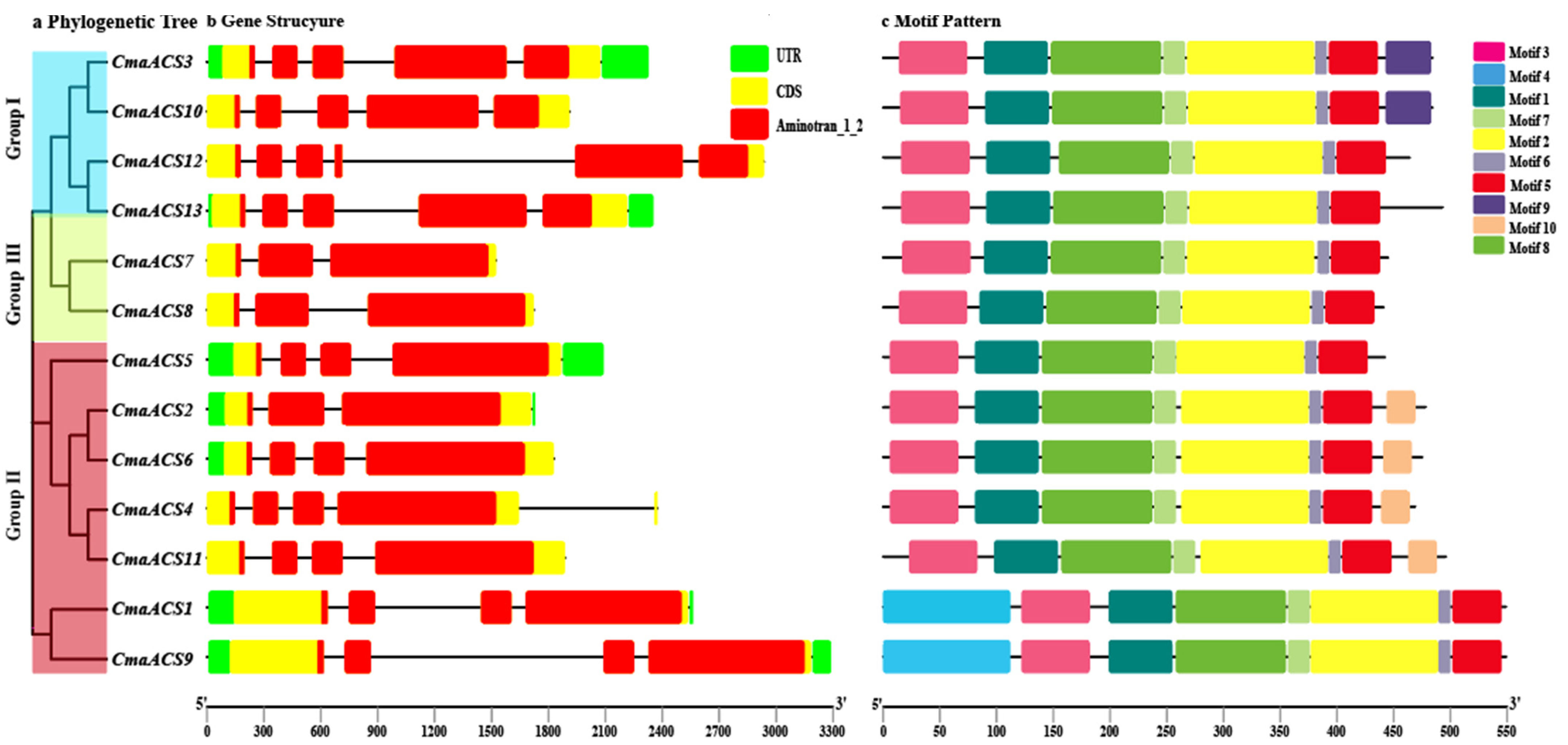 Ijms 23 08476 g002 550