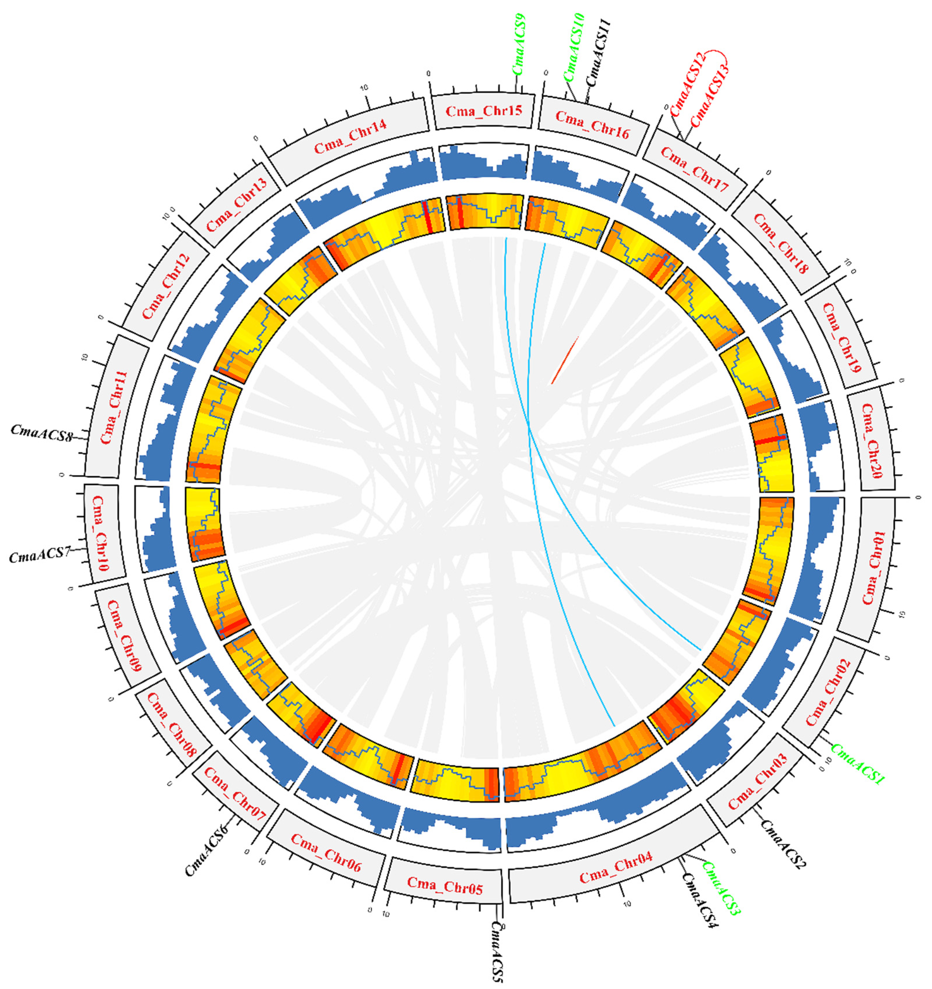 Ijms 23 08476 g003 550