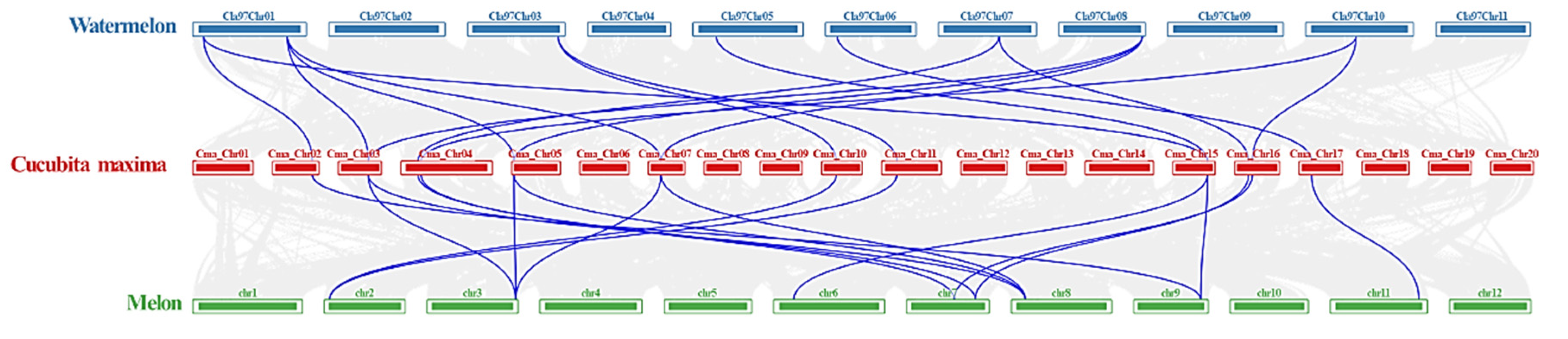 Ijms 23 08476 g004 550