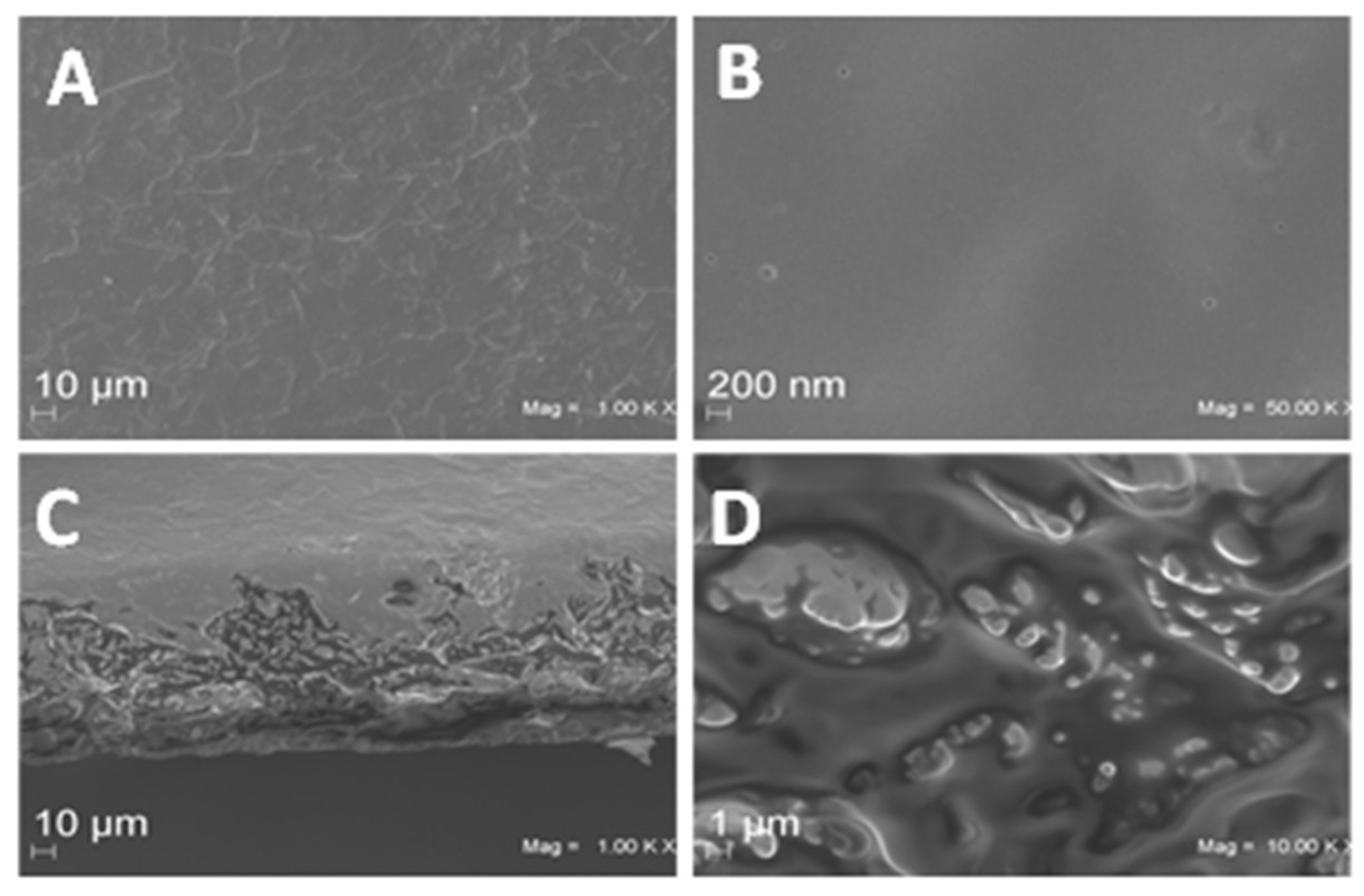 Ijms 23 08478 g004 550