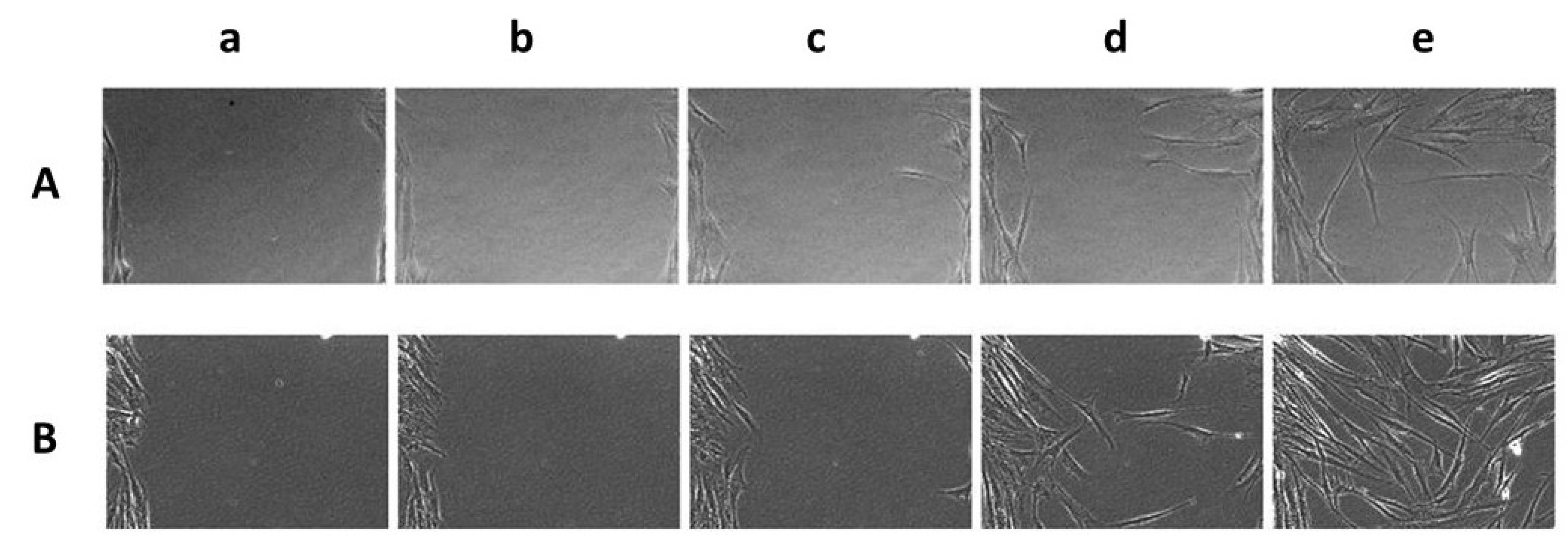 Ijms 23 08478 g007 550