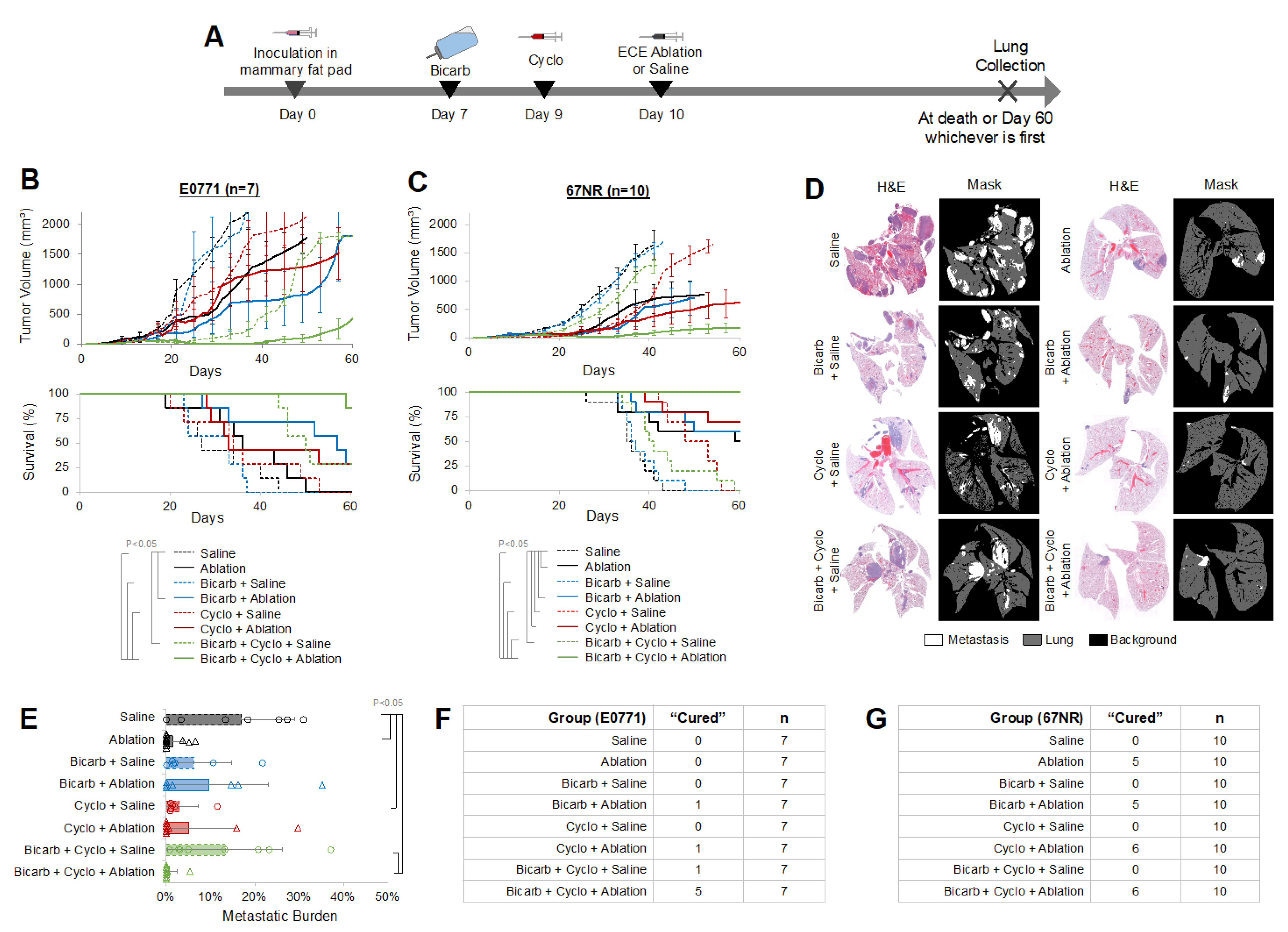 Ijms 23 08479 g001 550