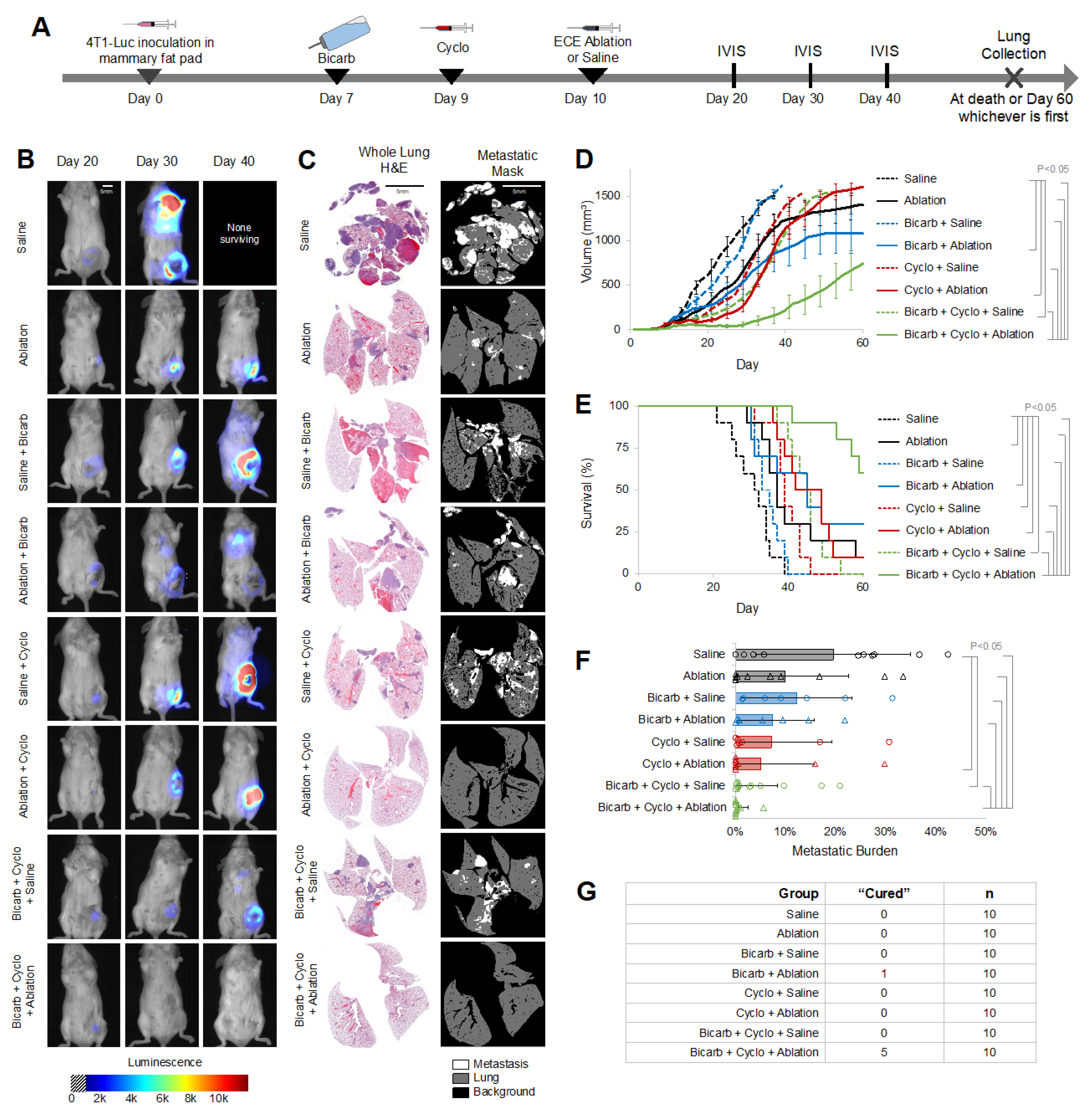Ijms 23 08479 g002 550